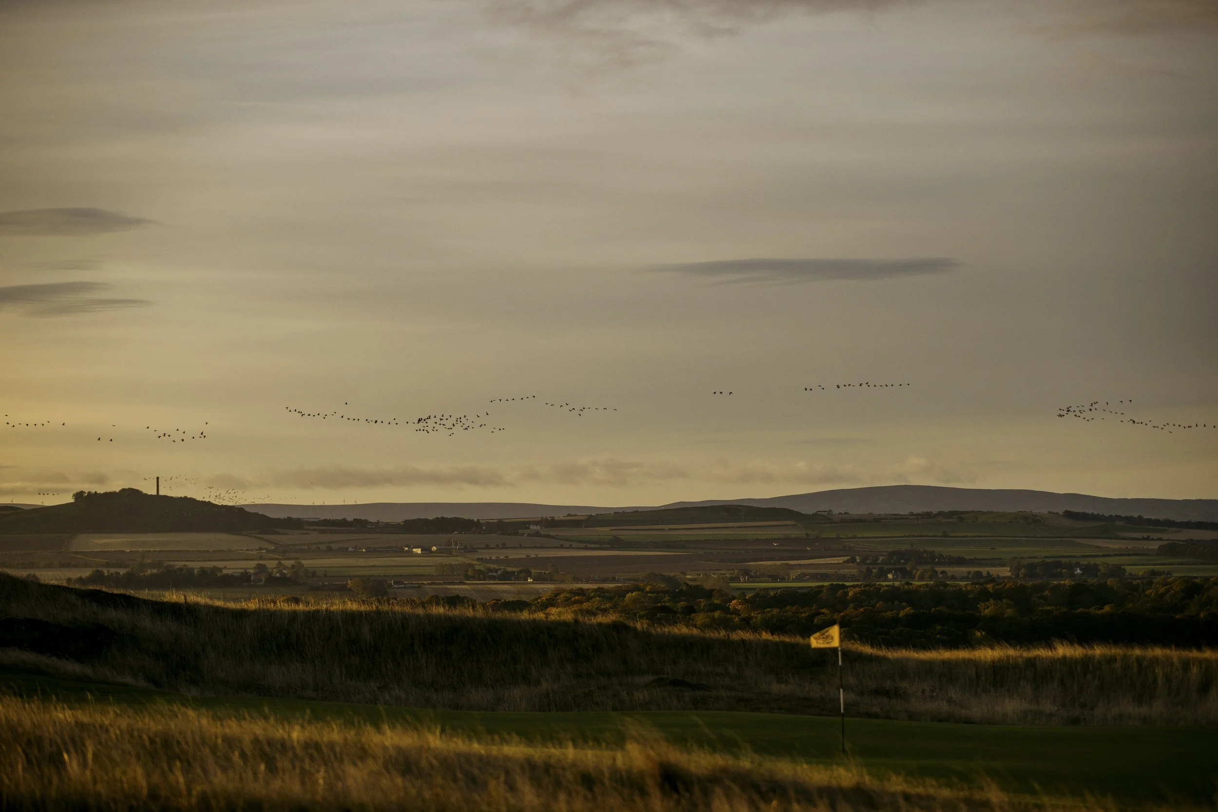 WILLSCOTT-GULLANEGOLFCLUB-299.jpg