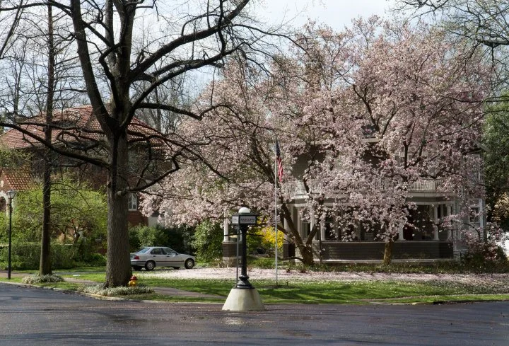 University Heights in Spring