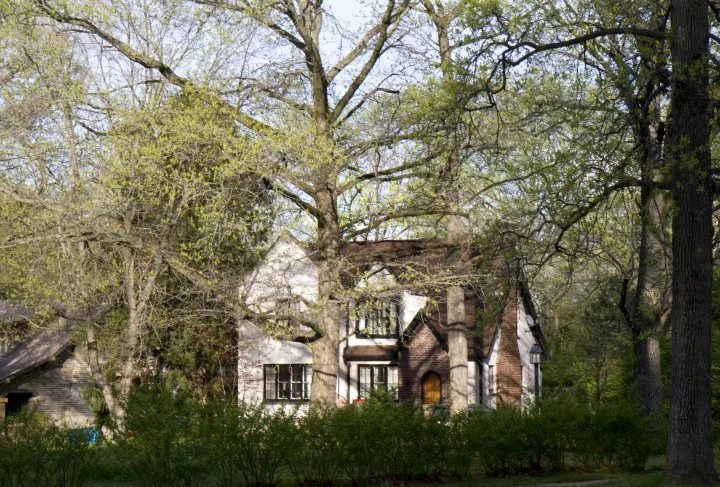 University Heights in Spring