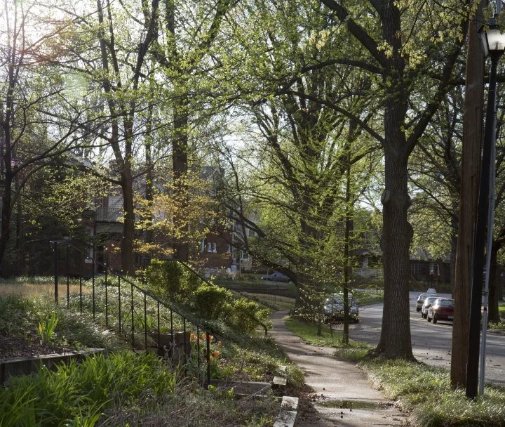 University Heights in Spring