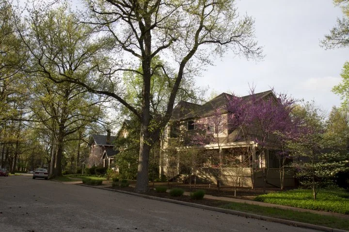 University Heights in Spring