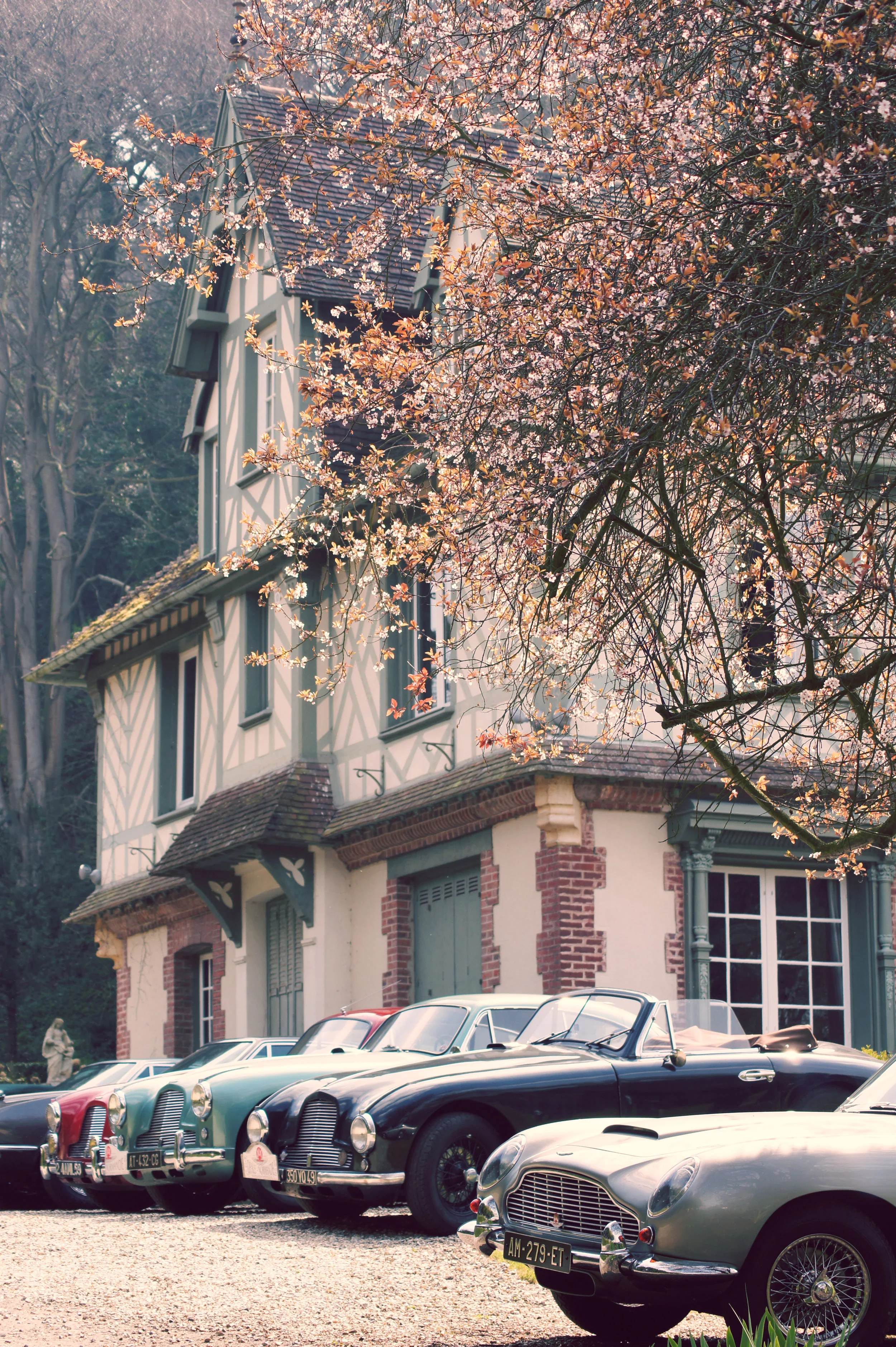 aston3.jpg