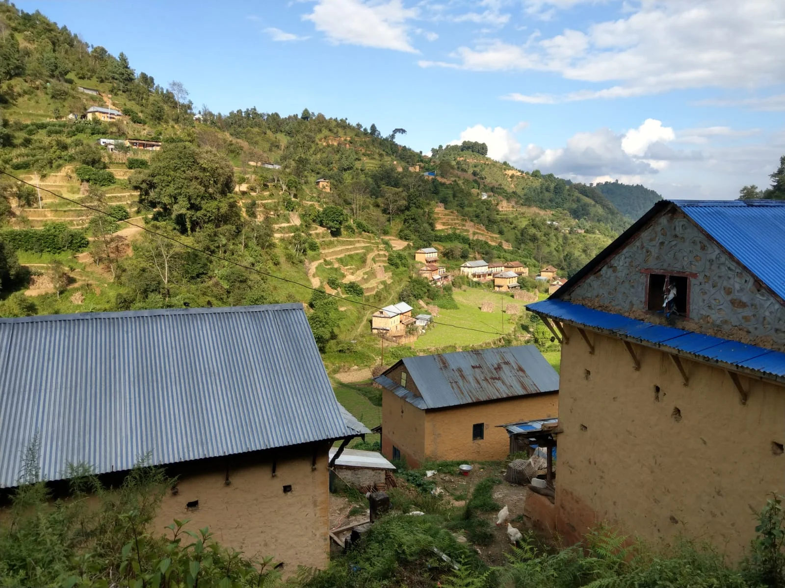 Energy Access with a Future: Evolving Grids
