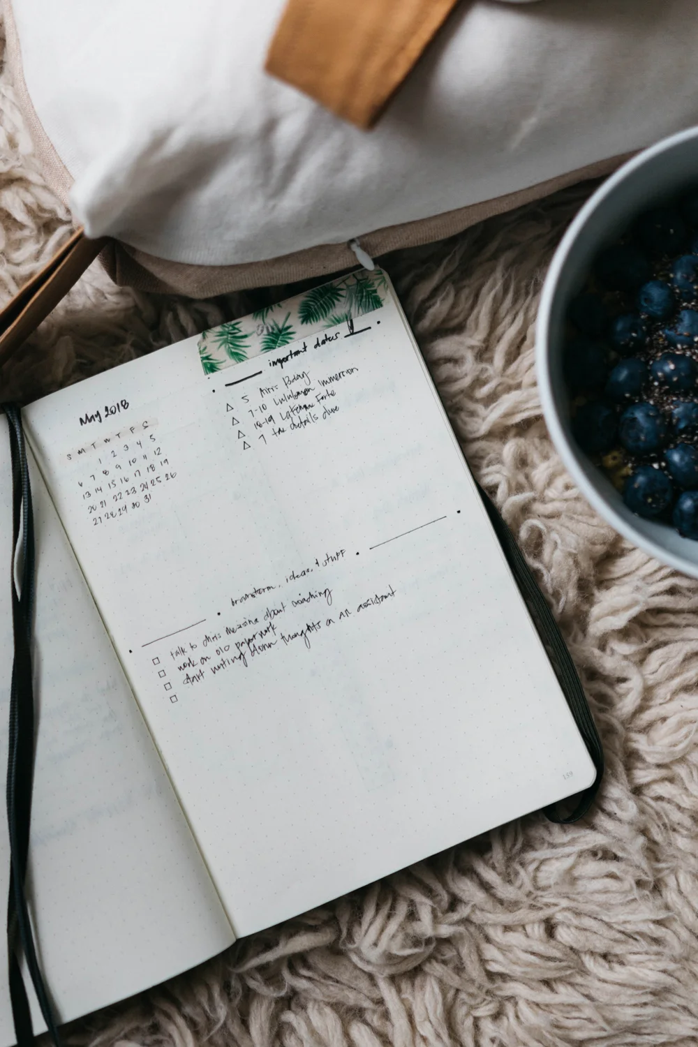 003-GOFITJO_maybujo.jpg