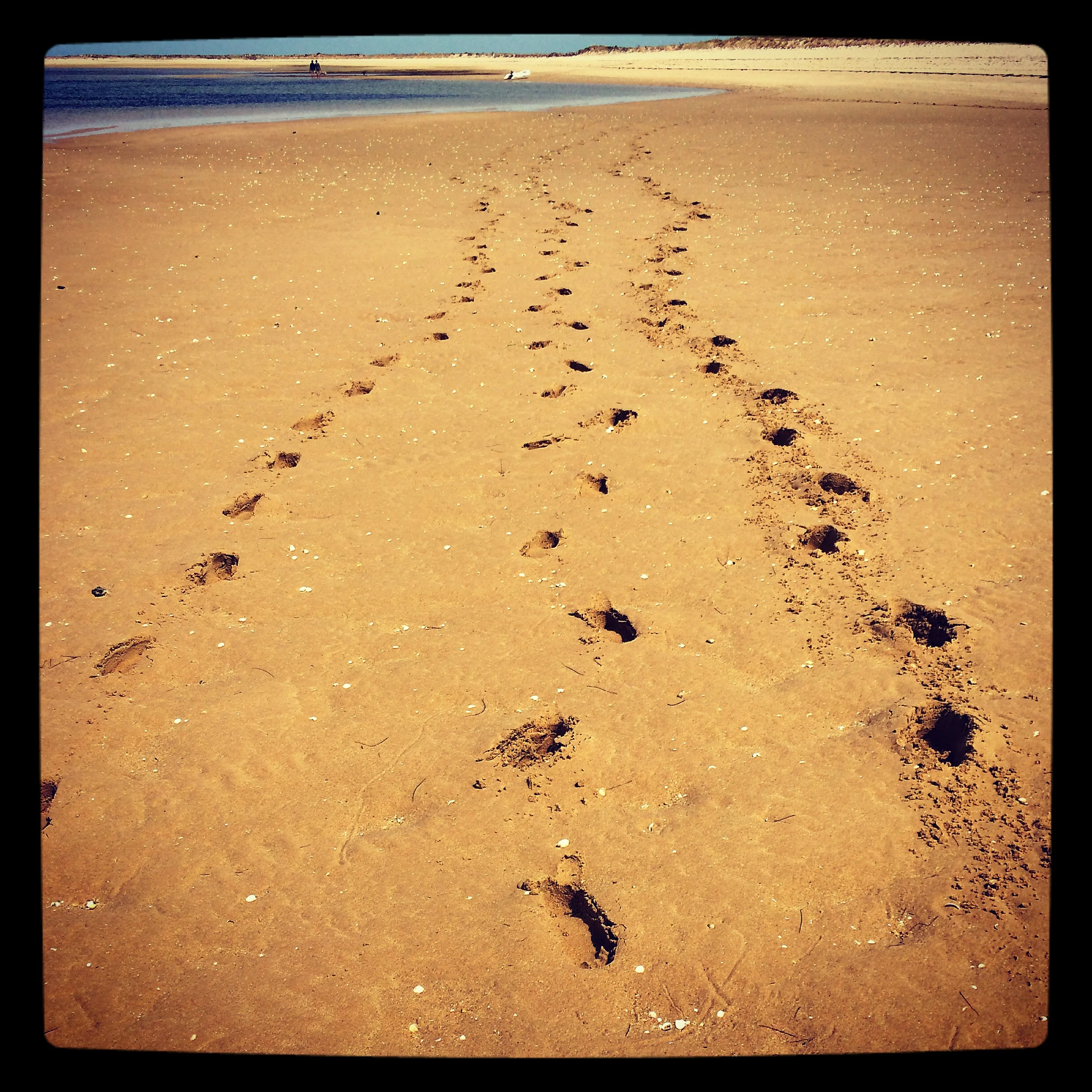 Musings of a Backpacker