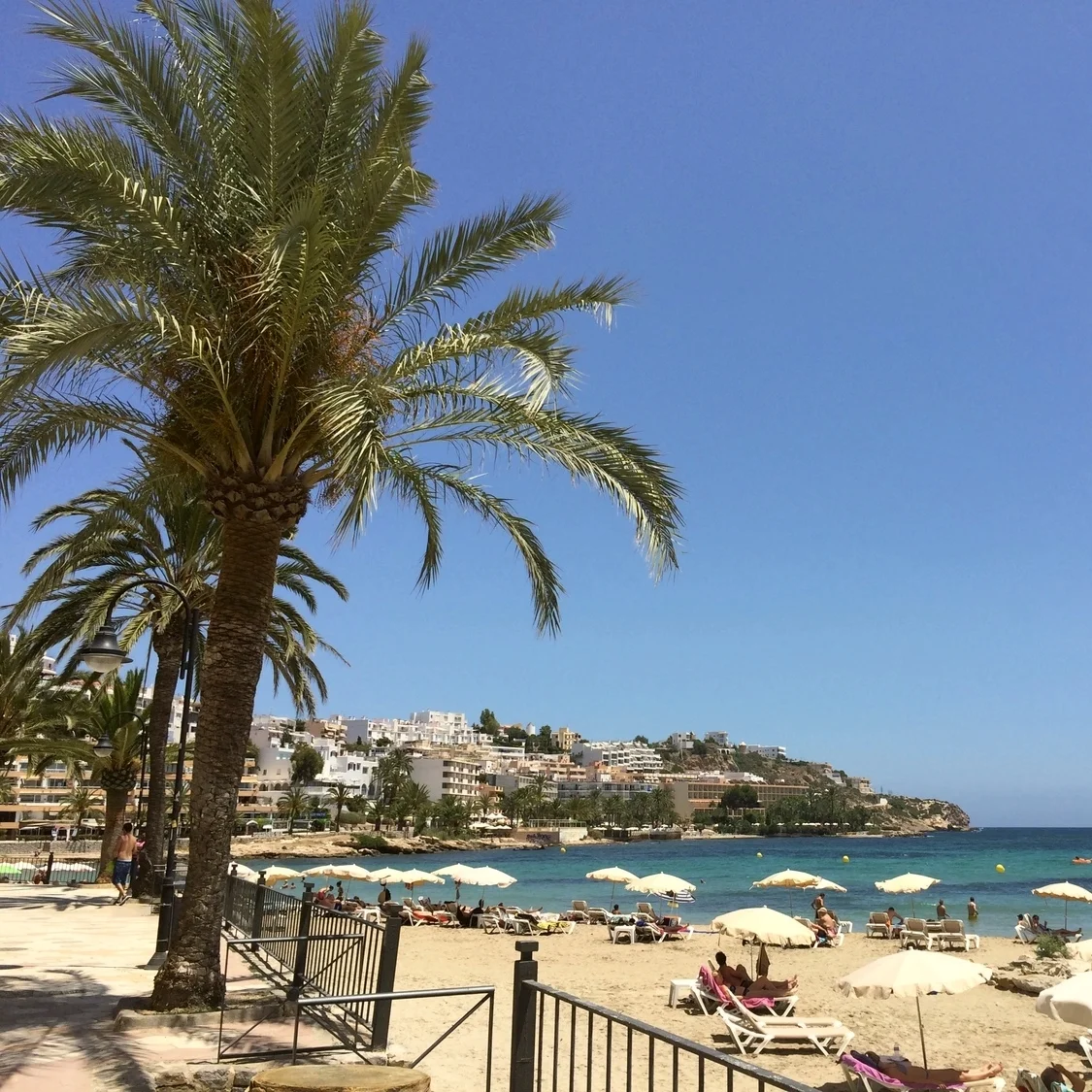 Pilgrimage to the Holy Land