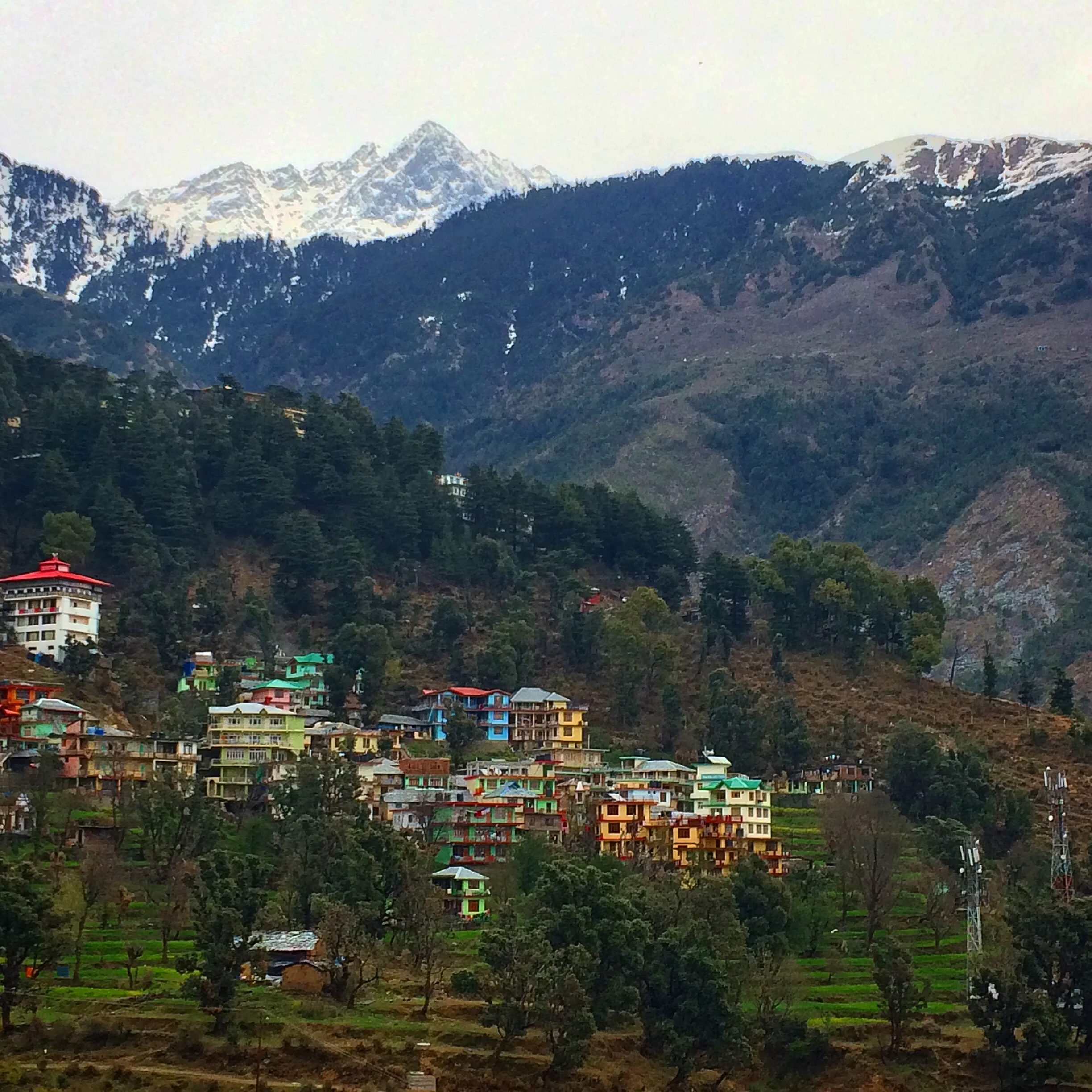 Tranquility in Dharamsala