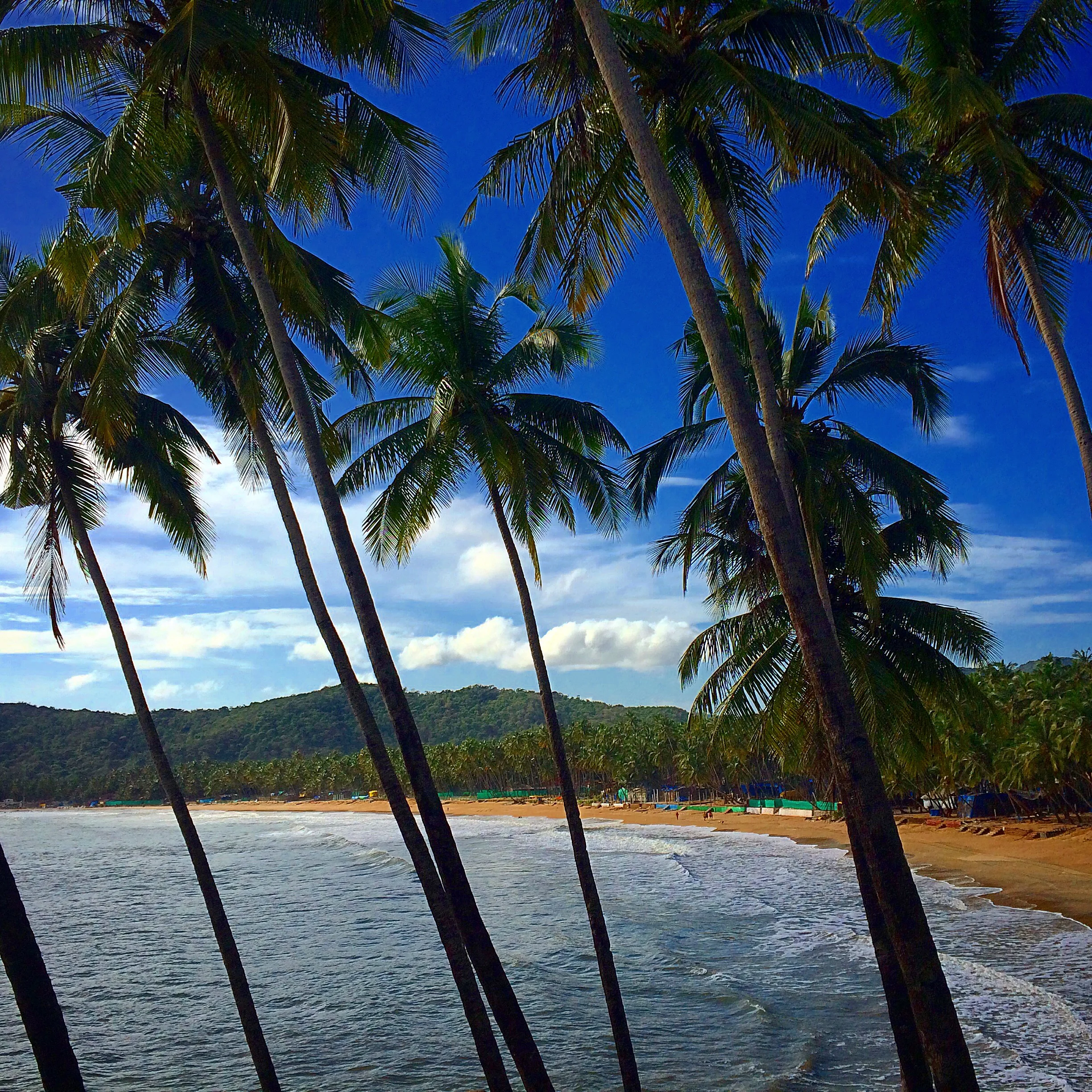 Tranquil Travels Through Goa