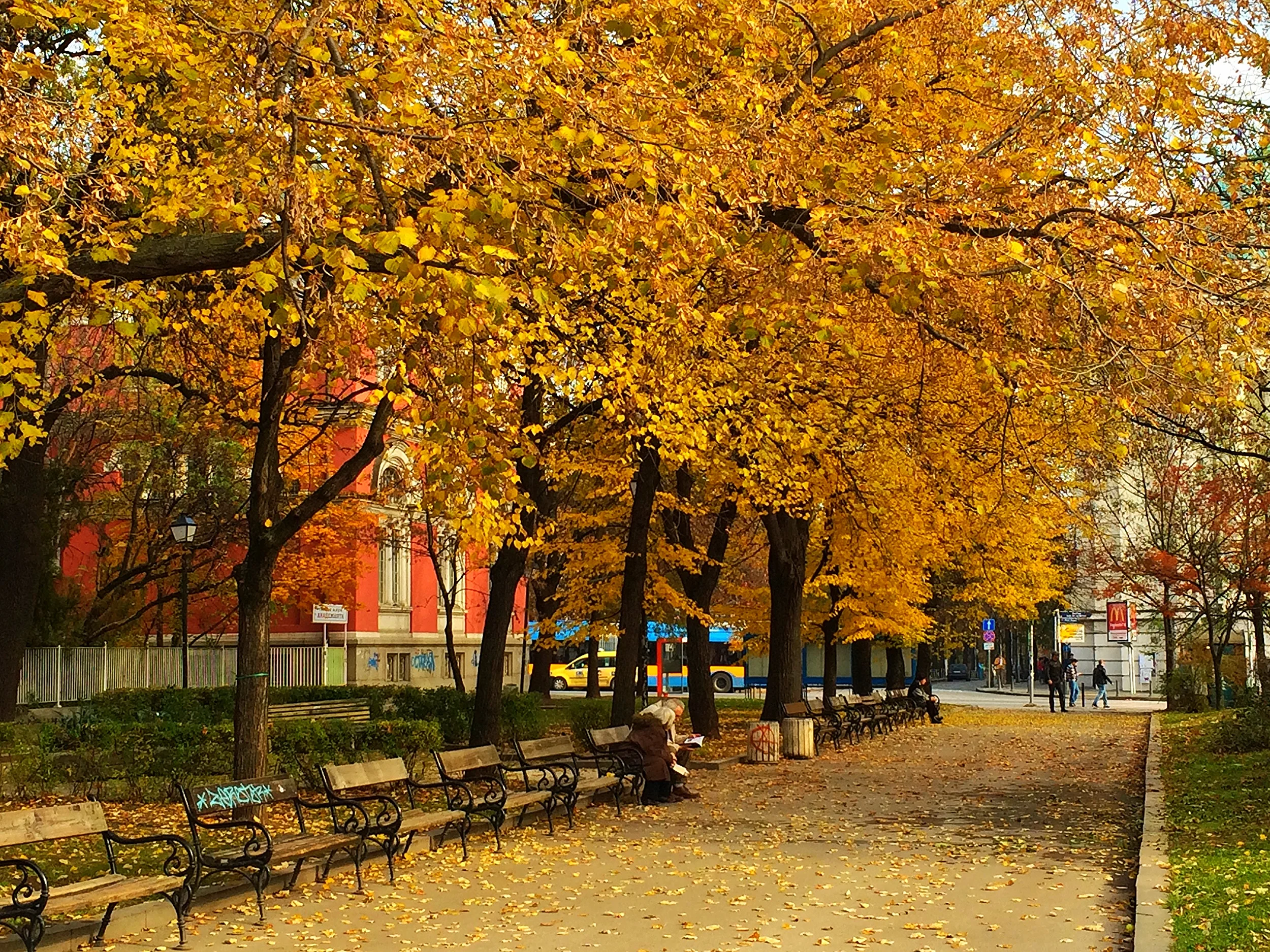 The Yellow Brick Road of Sofia