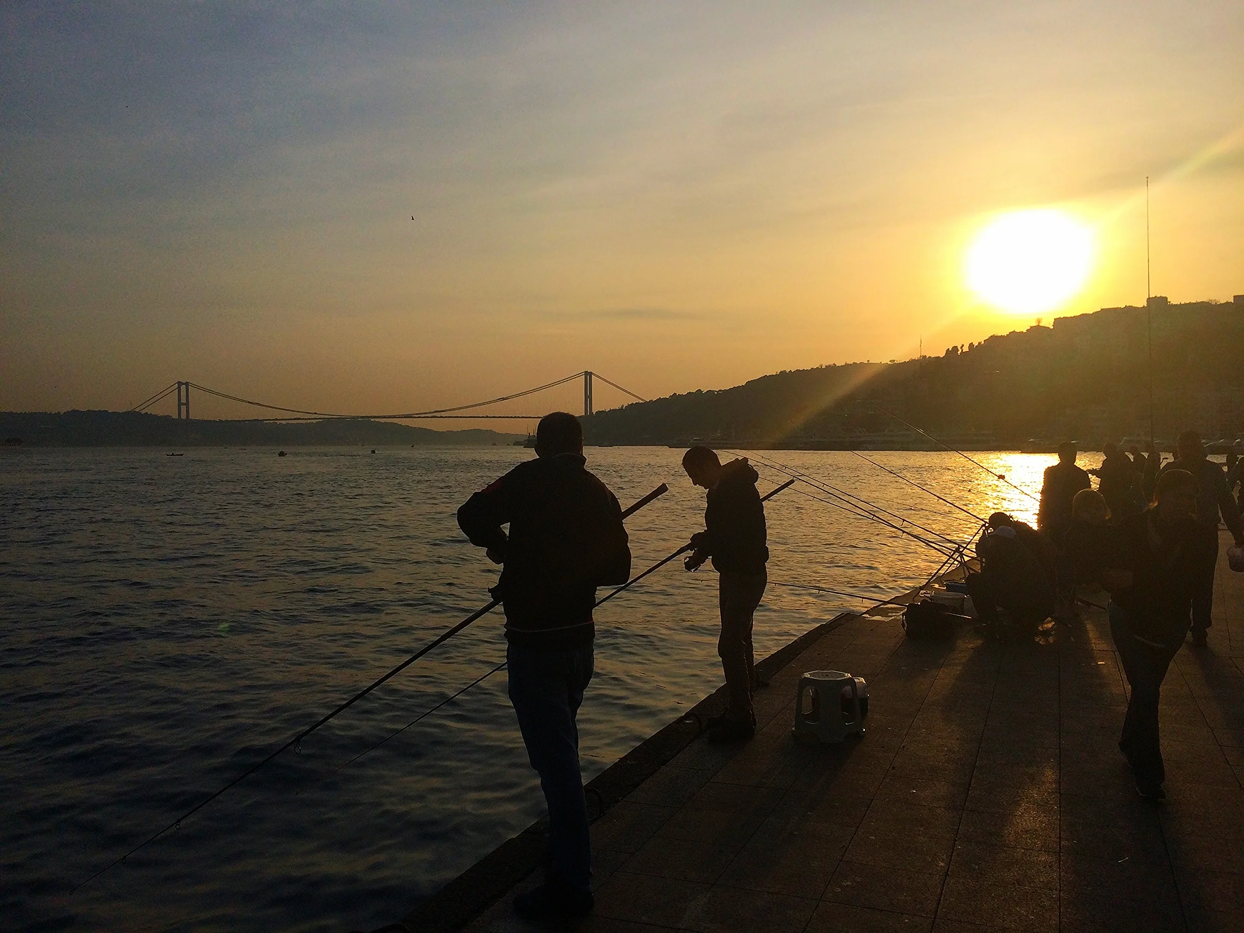 New Friends and First Steps