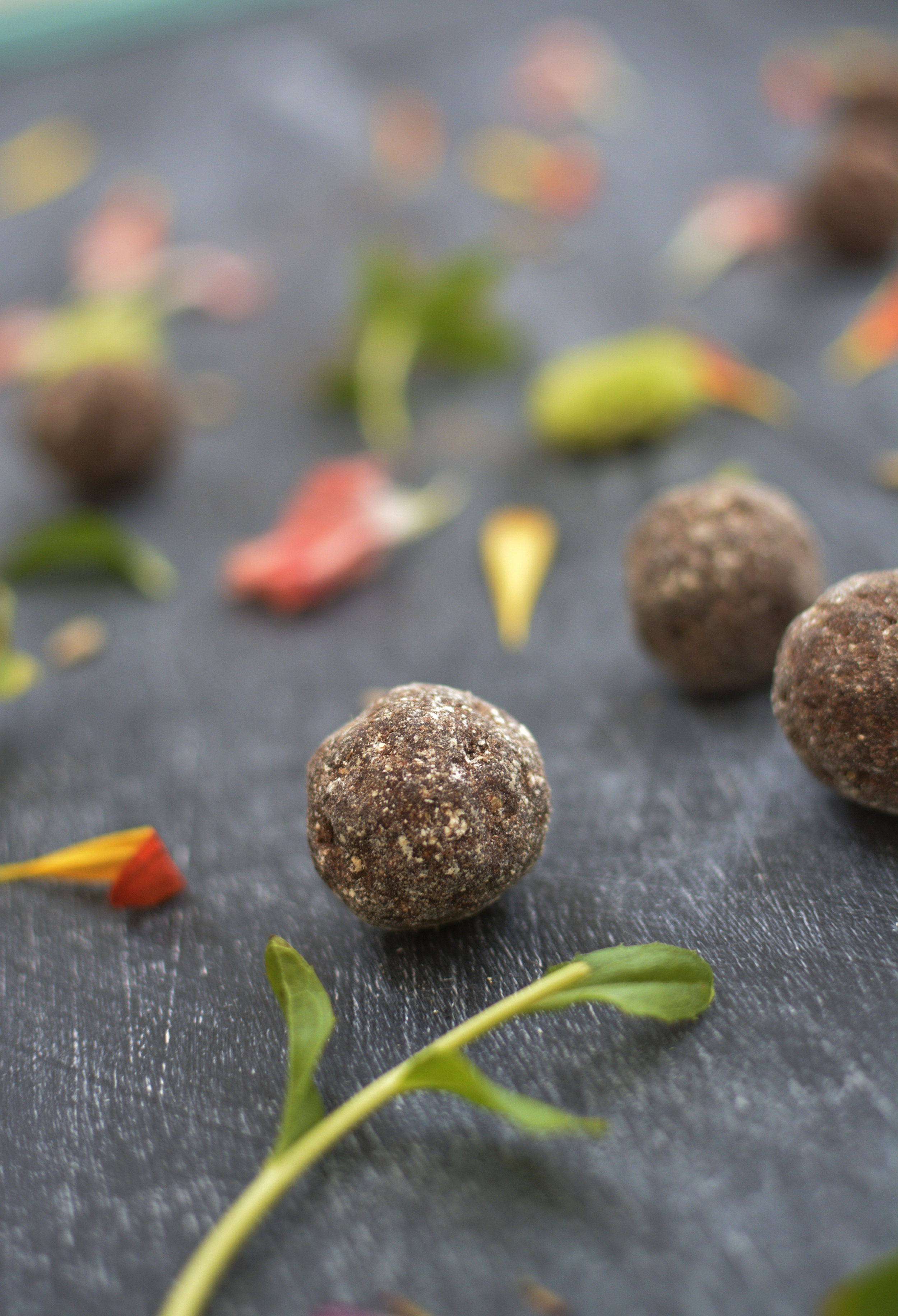 Vegan Truffles Enjoy Life Foods ProBurst Bites — Lindsey Lee & Co