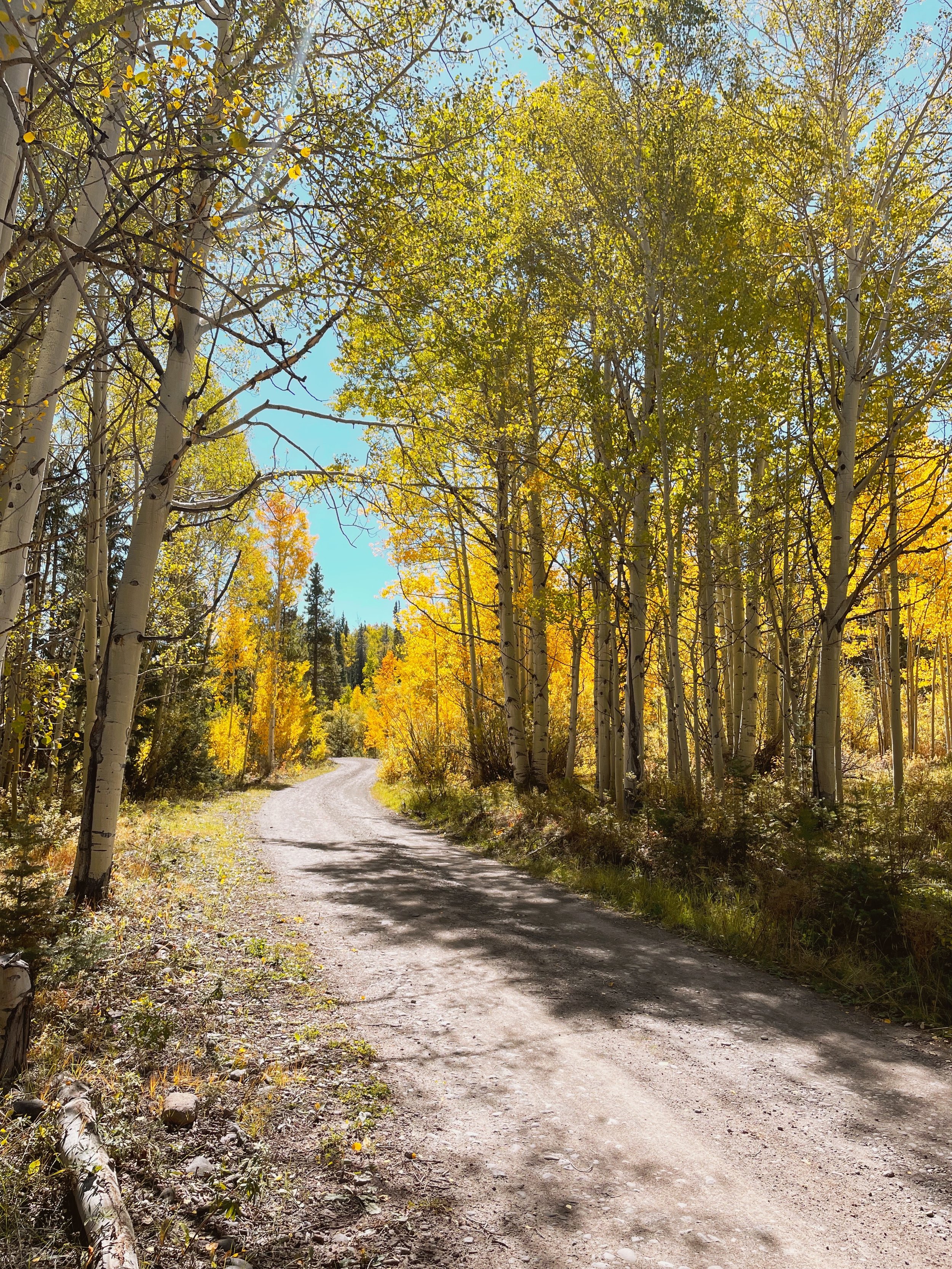 fall colors hike in yampa, colorado