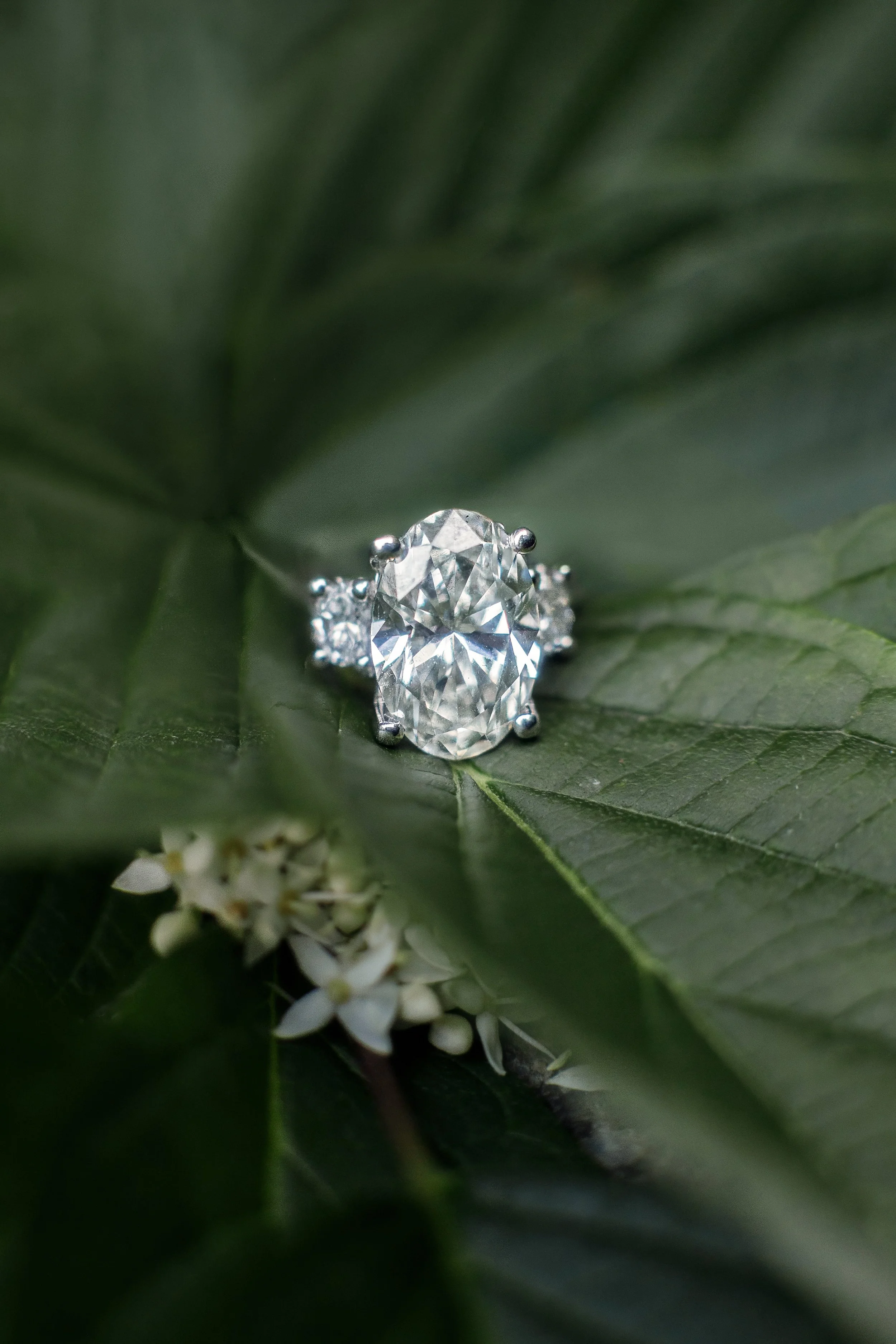 Krupin_Proposal_1158.jpeg