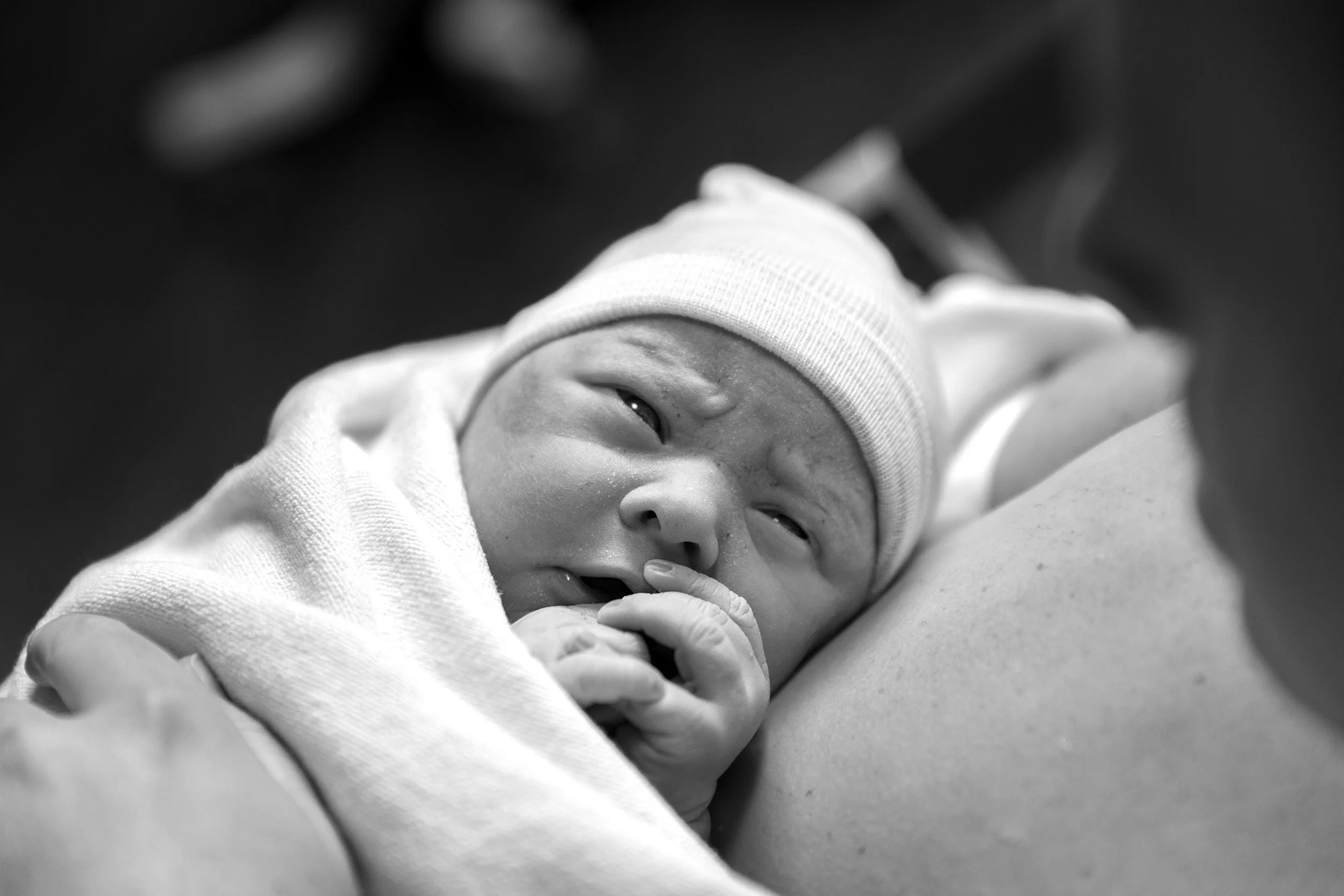 7Y8A4820bw.jpg