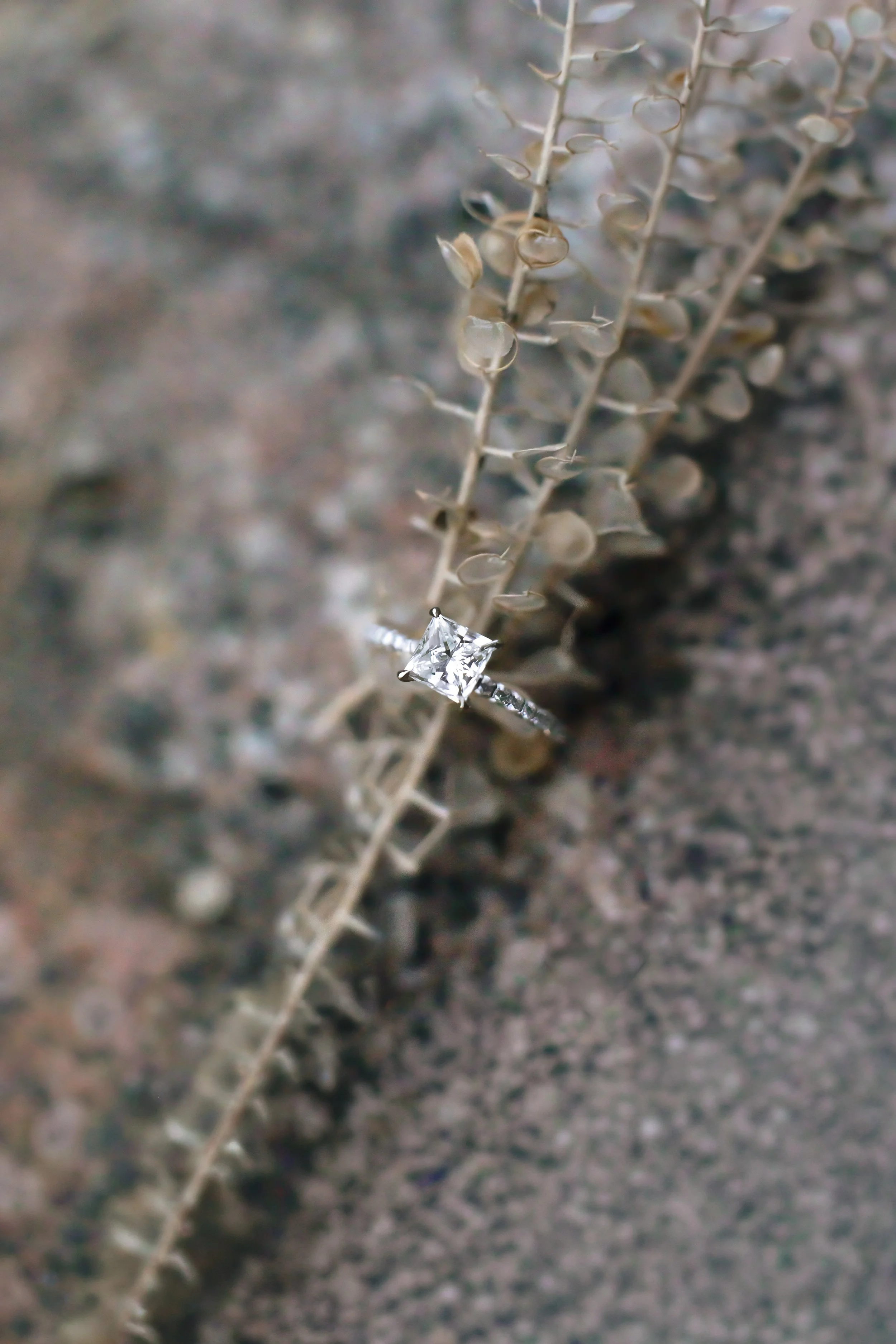 Snyder_Engagement_1085.jpg