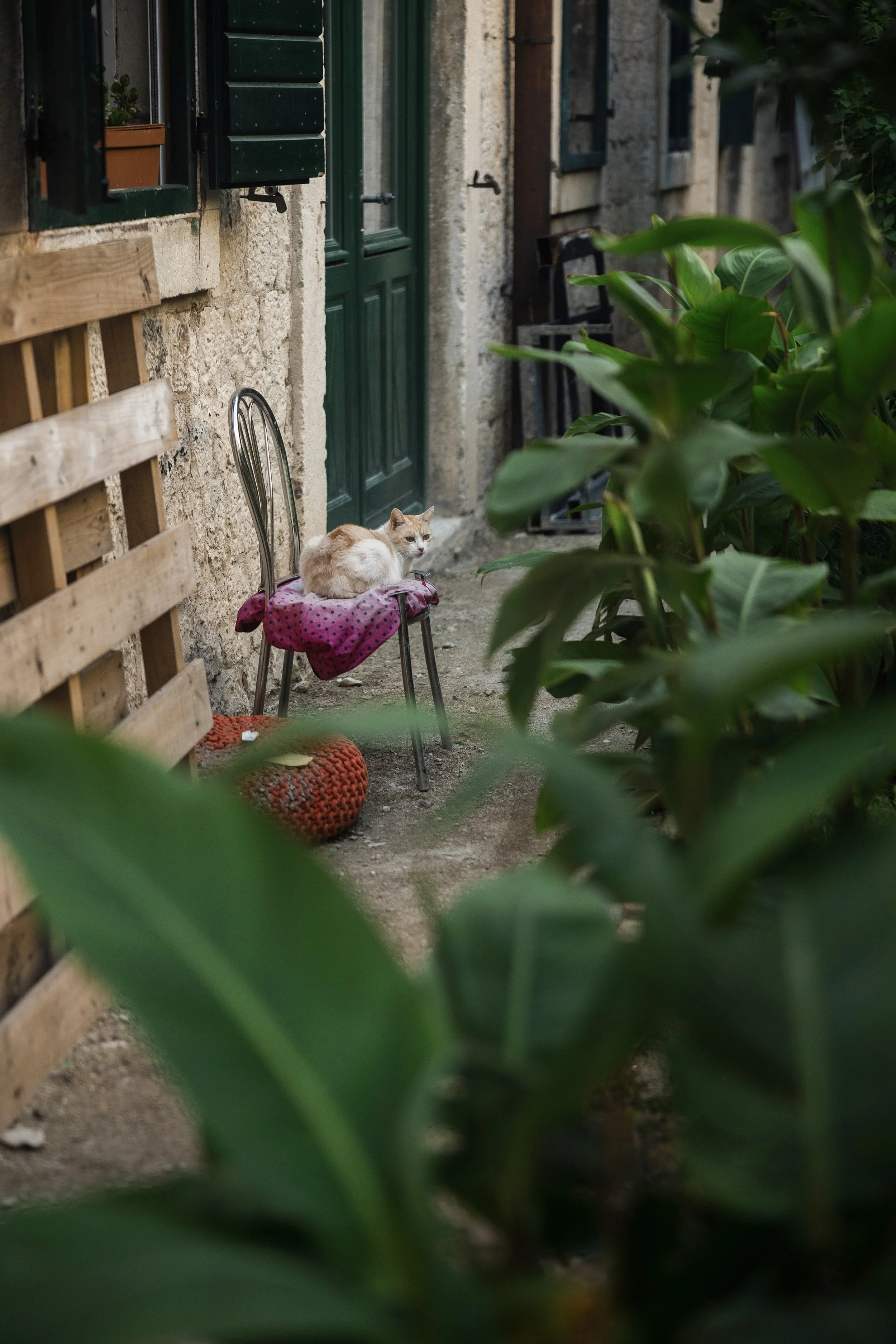 Eurotrip_25_Split_1074.jpg