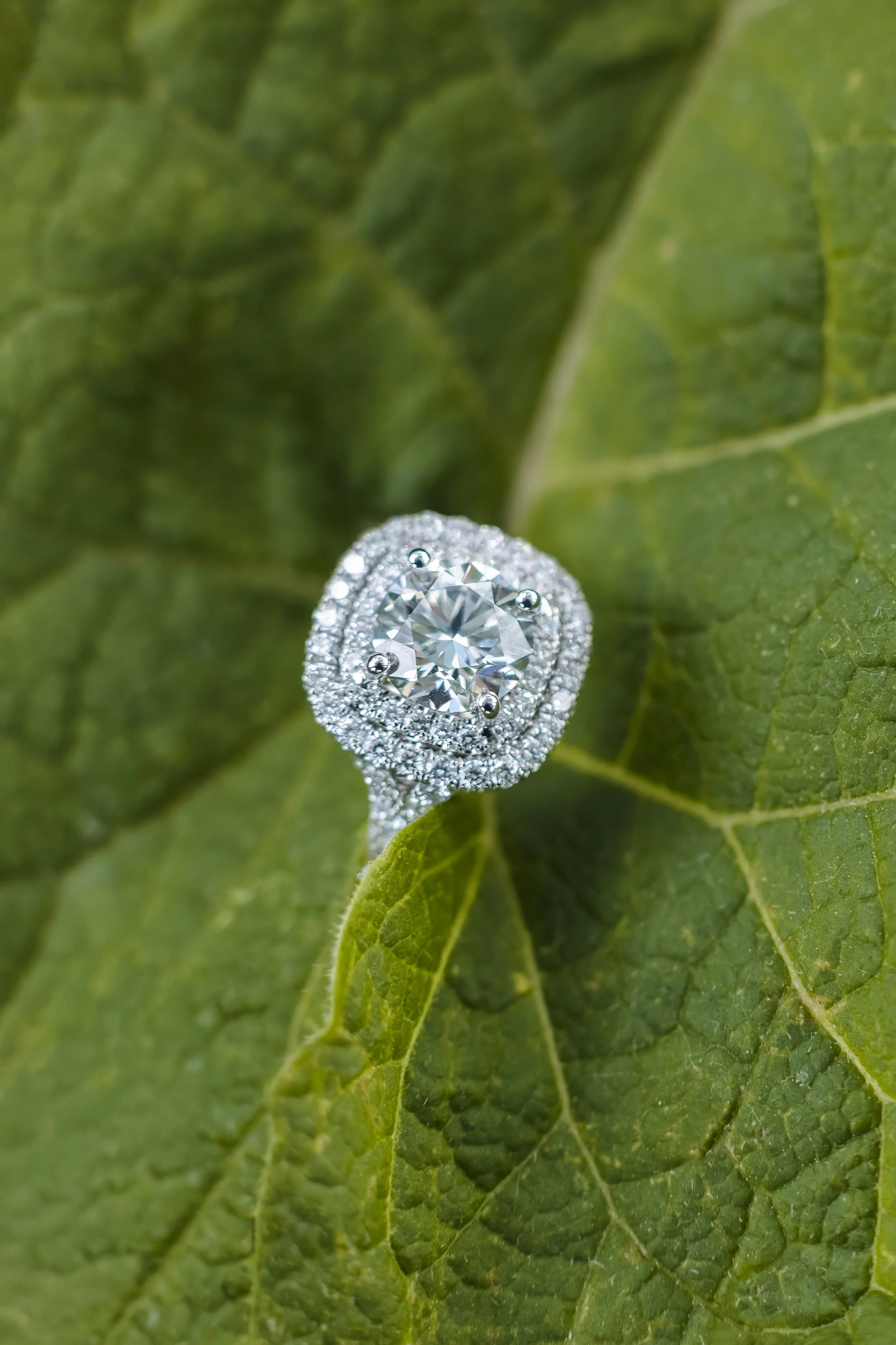 Marietti_Proposal_1084.jpg