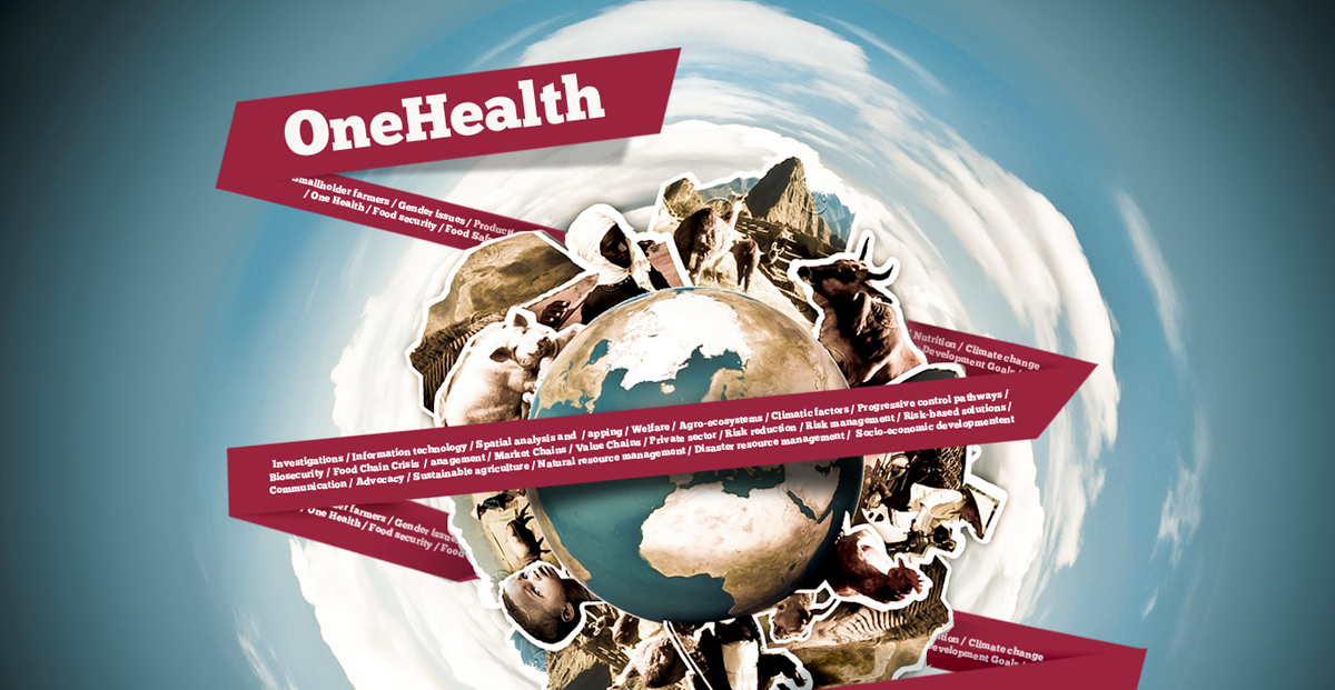 One_Health_graphic.jpg