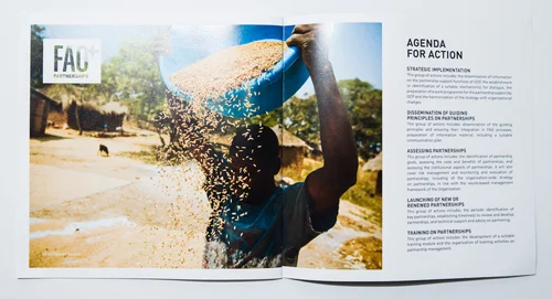 FAO-Partnerships-060.jpg