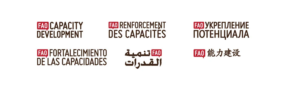 FAO_Capacity_logos.jpg