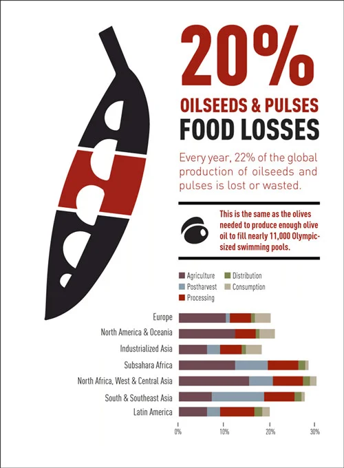 infographic-Oilseeds.jpg