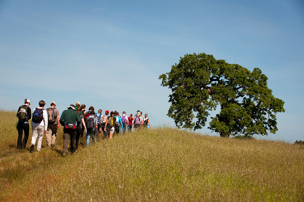 Stanford ordered to permit outside group inspection of Jasper Ridge preserveSTANFORD DAILY / March 4, 2014A federal judge recently ordered Stanford to permit two environmental groups to&nbsp;inspect the Jasper Ridge Biological Preserve, following&nb…