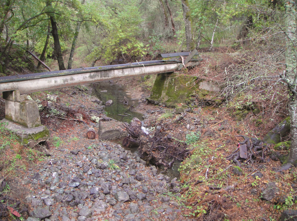 Degraded creek below Searsville Dam