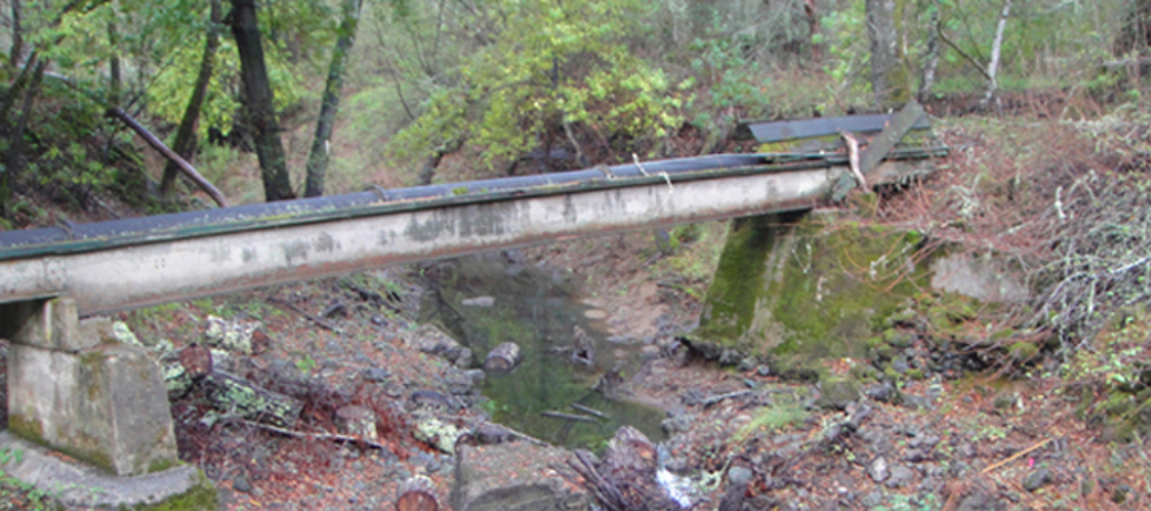 DOWNSTREAM, February 2014 Unlike the creeks in the upper watershed, the creek downstream of Searsville Dam was mostly dry, with a tangle of angular rocks and stagnant pools not suitable for steelhead habitat or spawning. This photo also shows the Stanford-owned pipeline that carries diverted water to the university's main irrigation reservoir, Felt Lake. Read more at OCEFoundation.org and EcoRights.org . 