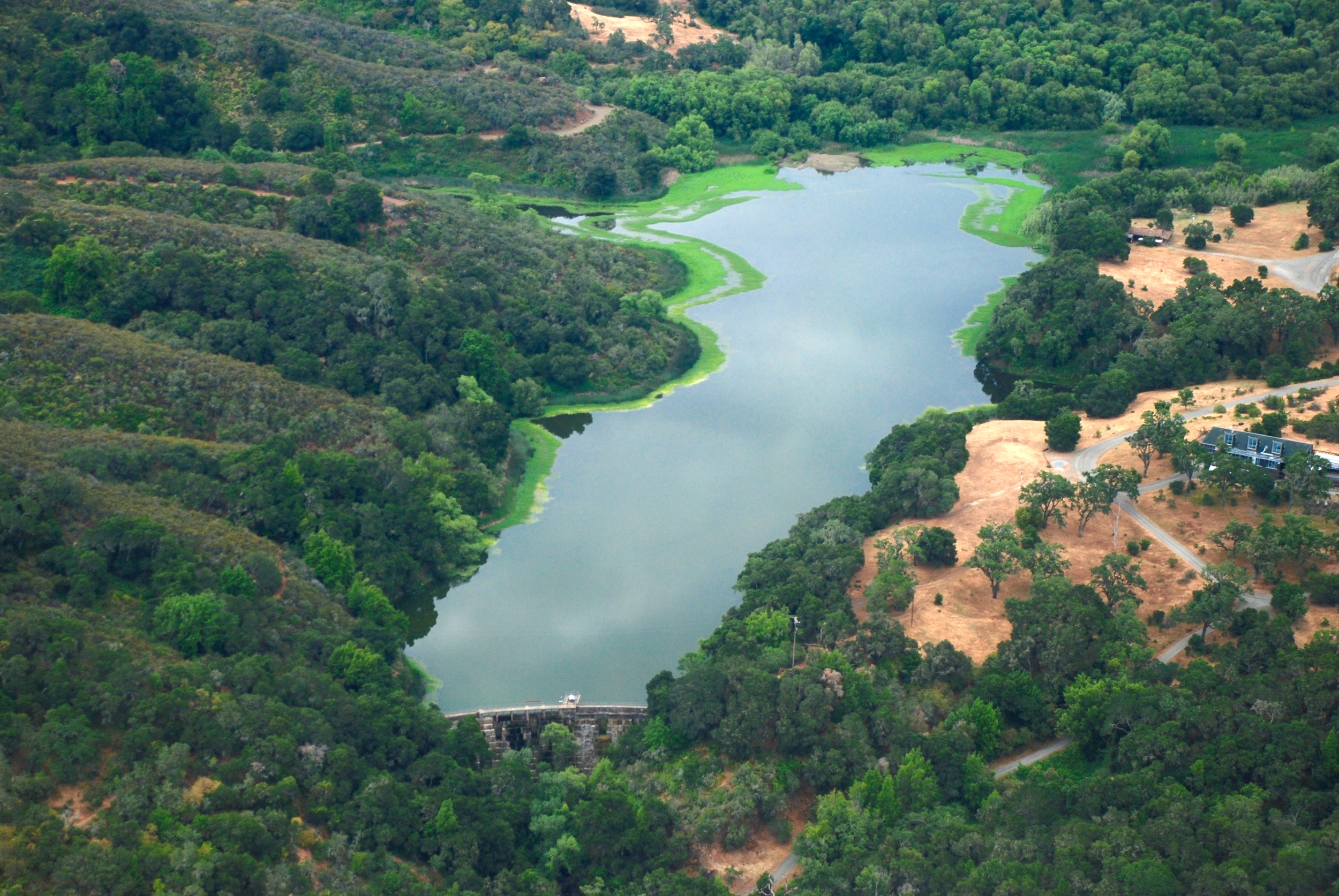 Stanford's Searsville Dam & Reservoir