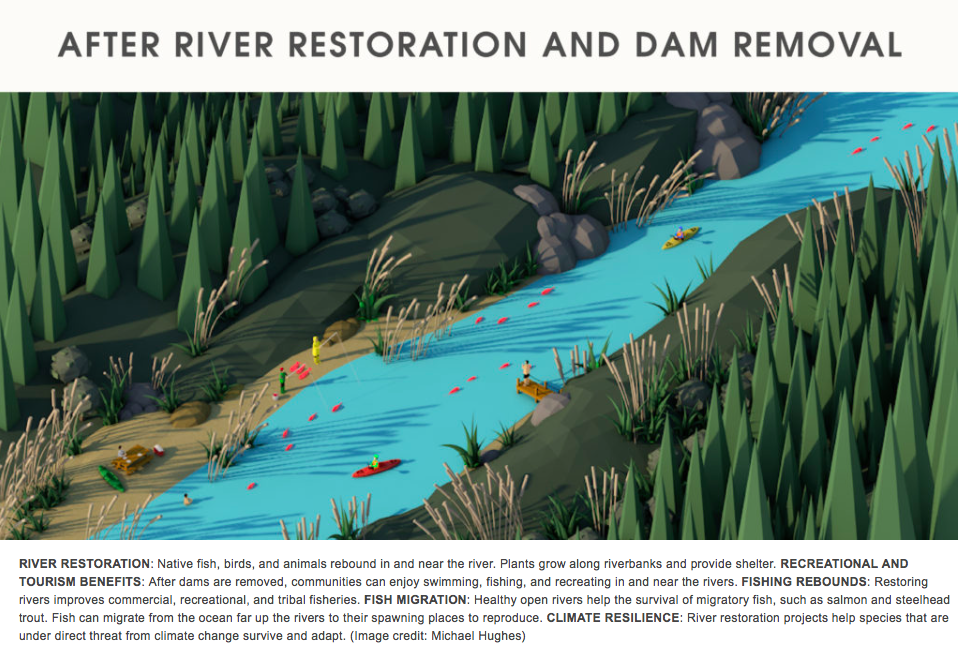 January 2017:&nbsp;Hewlett Foundation gives $50 million for dam removal The first three projects to receive grant funding are the Matilija Dam in Ventura, California; a series of dams and obstructions in Oregon's Rogue River basin; and the Nelson Da…