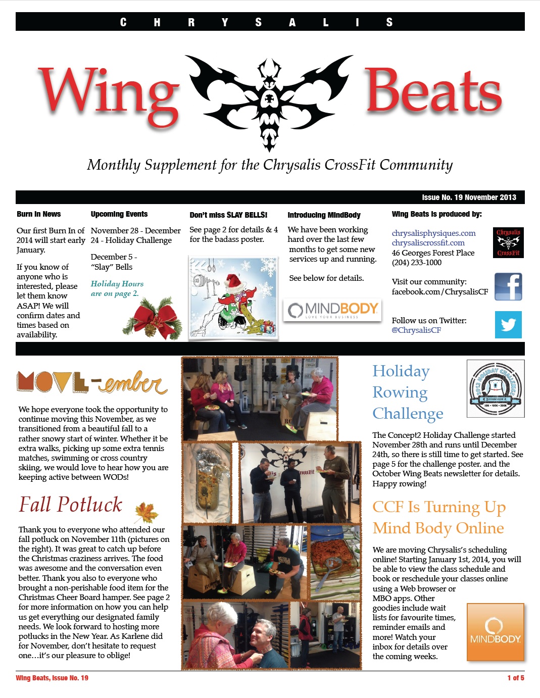 WingBeats Issue #19 - November 2013