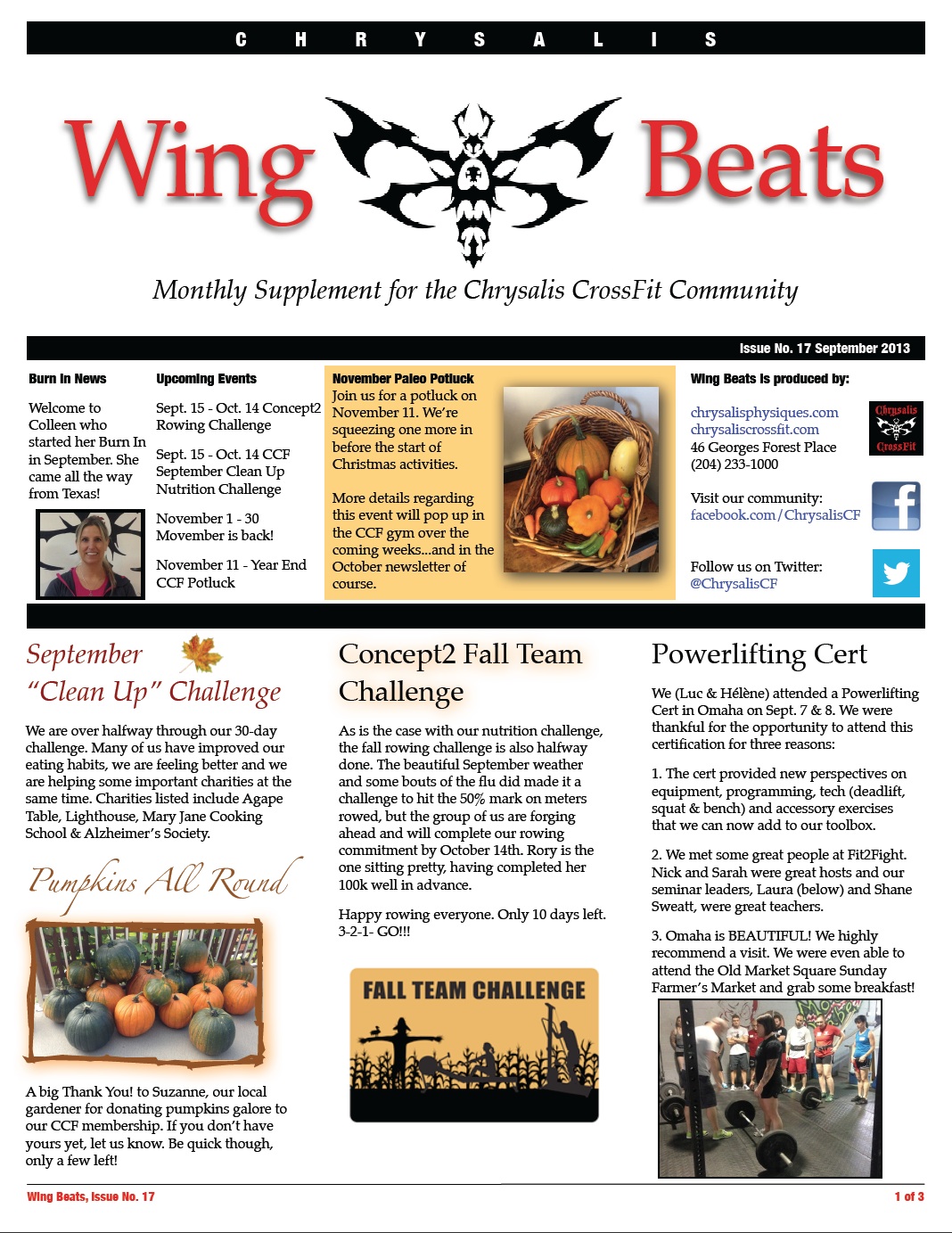 WingBeats Issue #17 - September 2013