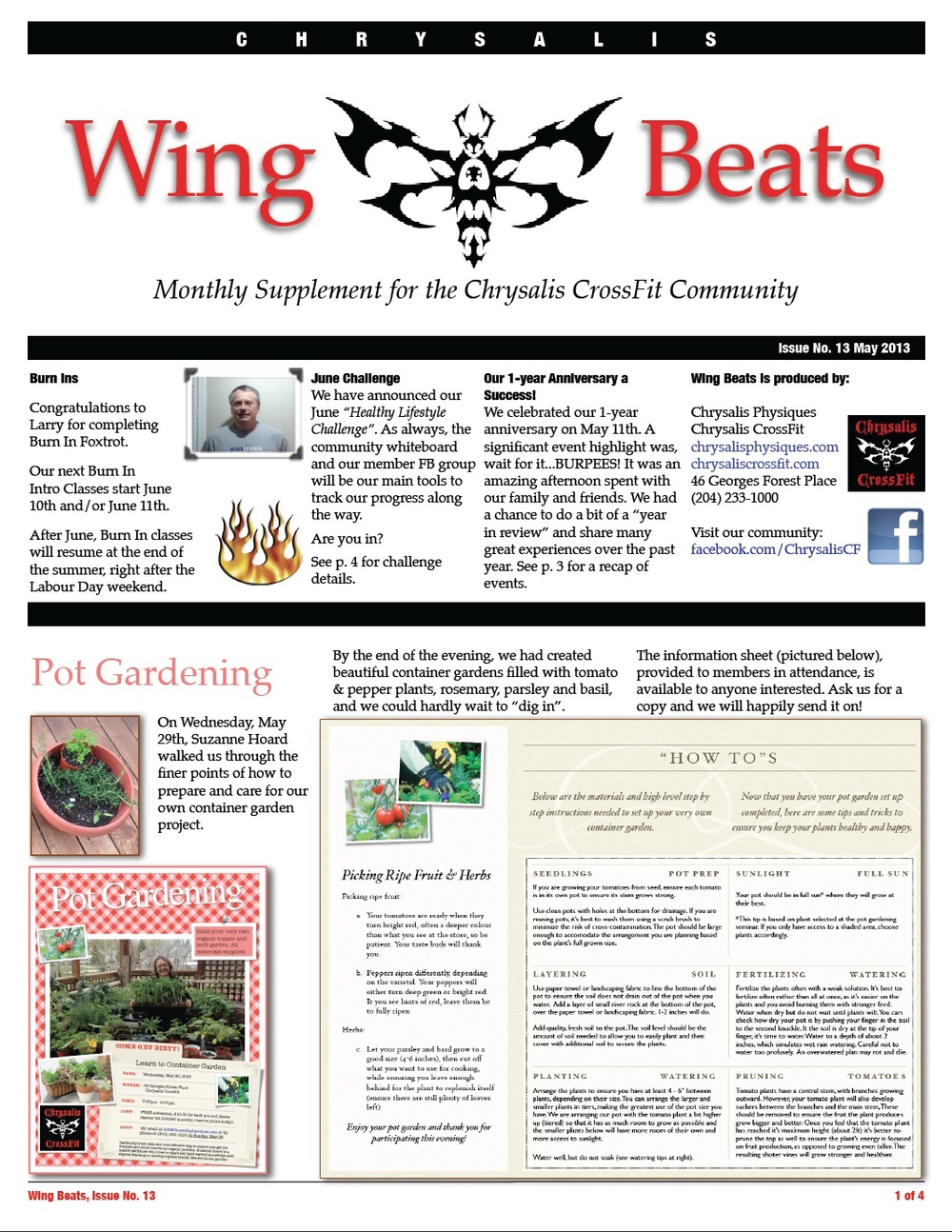 WingBeats Issue #13 - May 2013