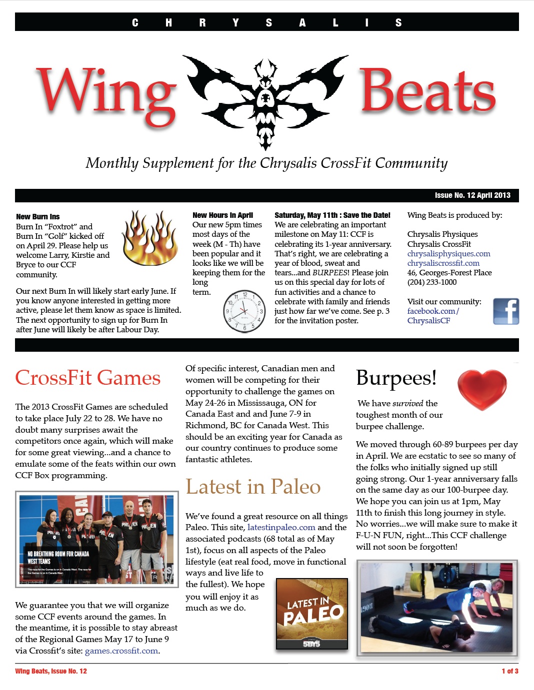 WingBeats Issue #12 - April 2013