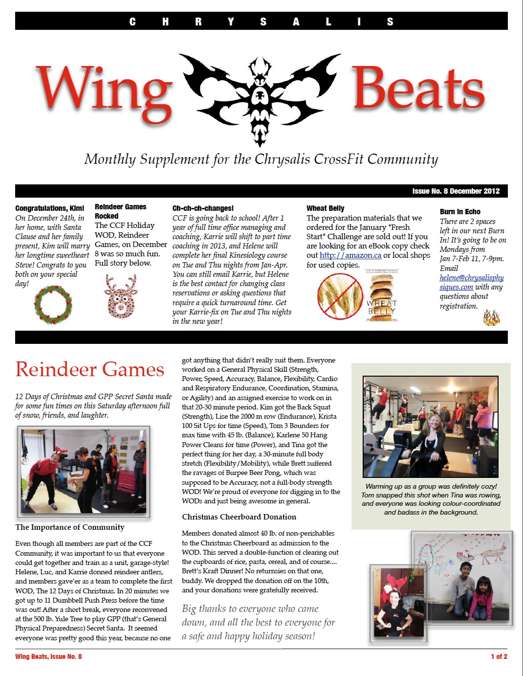 WingBeats Issue #8 - December 2012