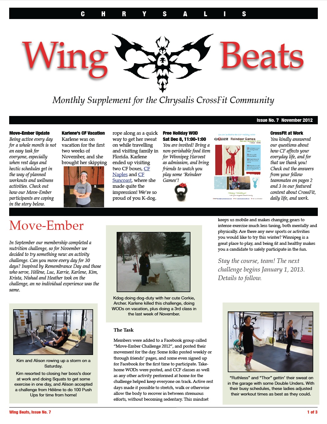 WingBeats Issue #7 - November 2012