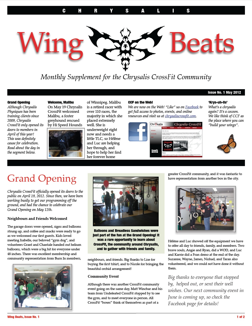 WingBeats Issue #1 - May 2012