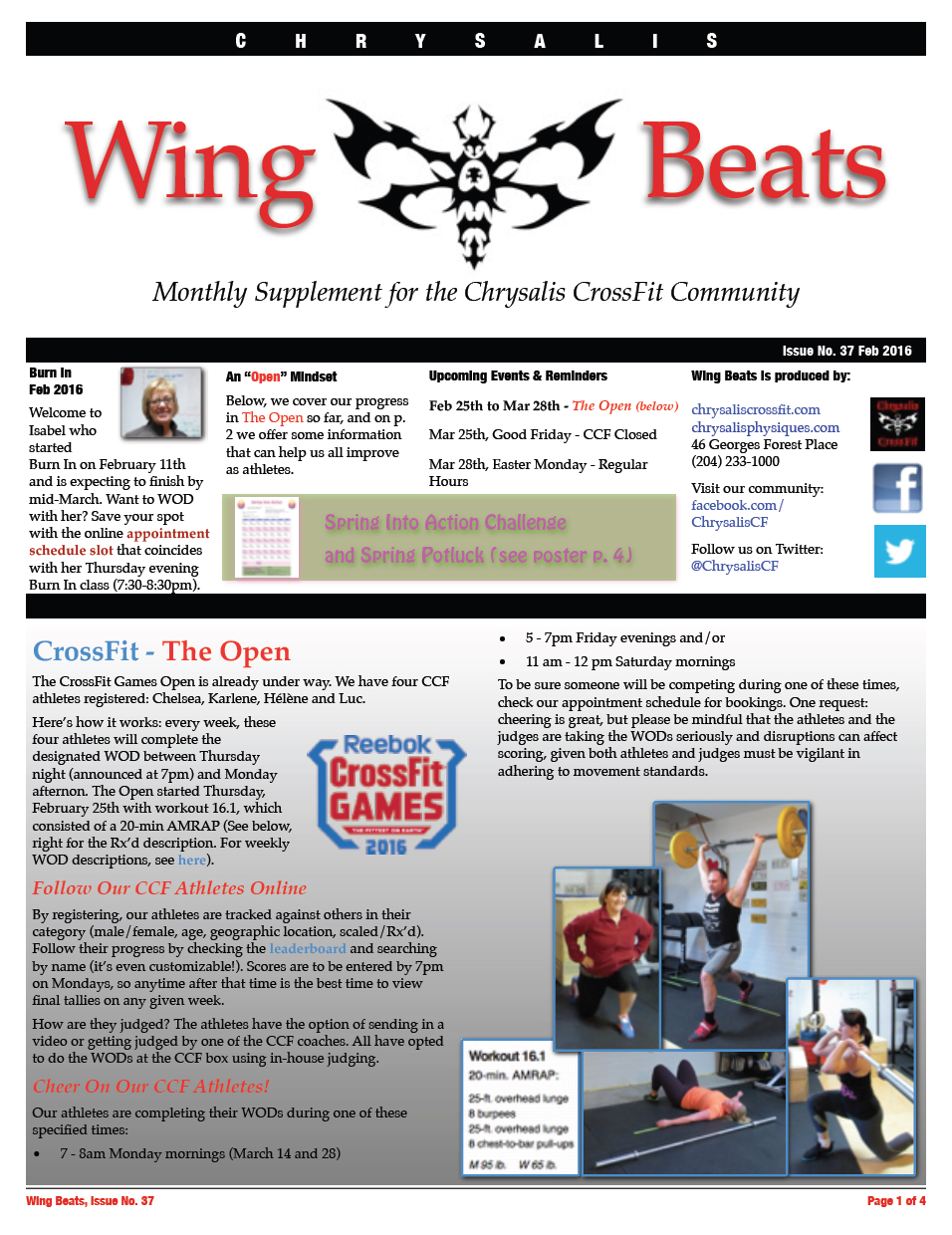 WingBeats Issue #37 - Feb 2016