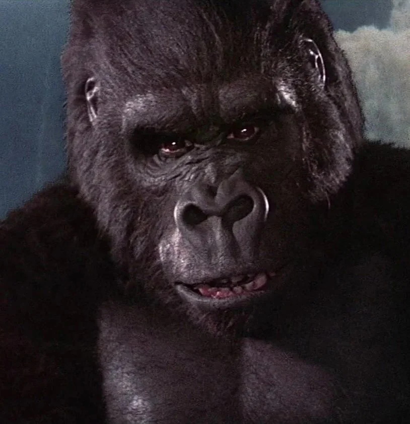 Would you swipe right on this profile? 🦍