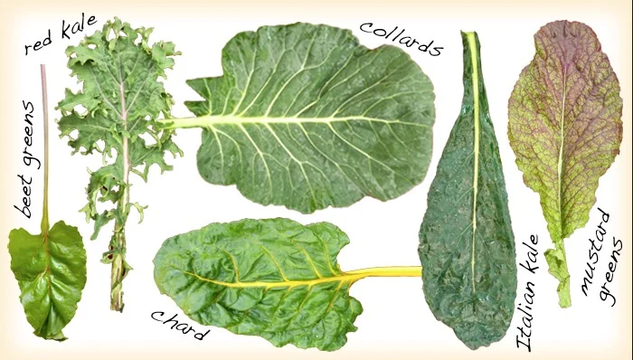 image from http://portlandfarmersmarket.wordpress.com/2010/12/01/hearty-greens-8-ways-to-sunday/
