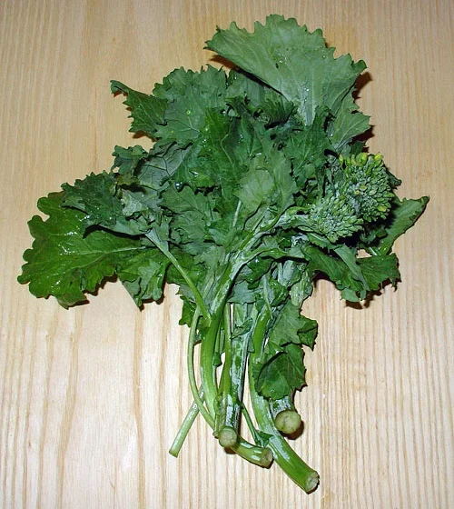 Broccoli rabe or rapini