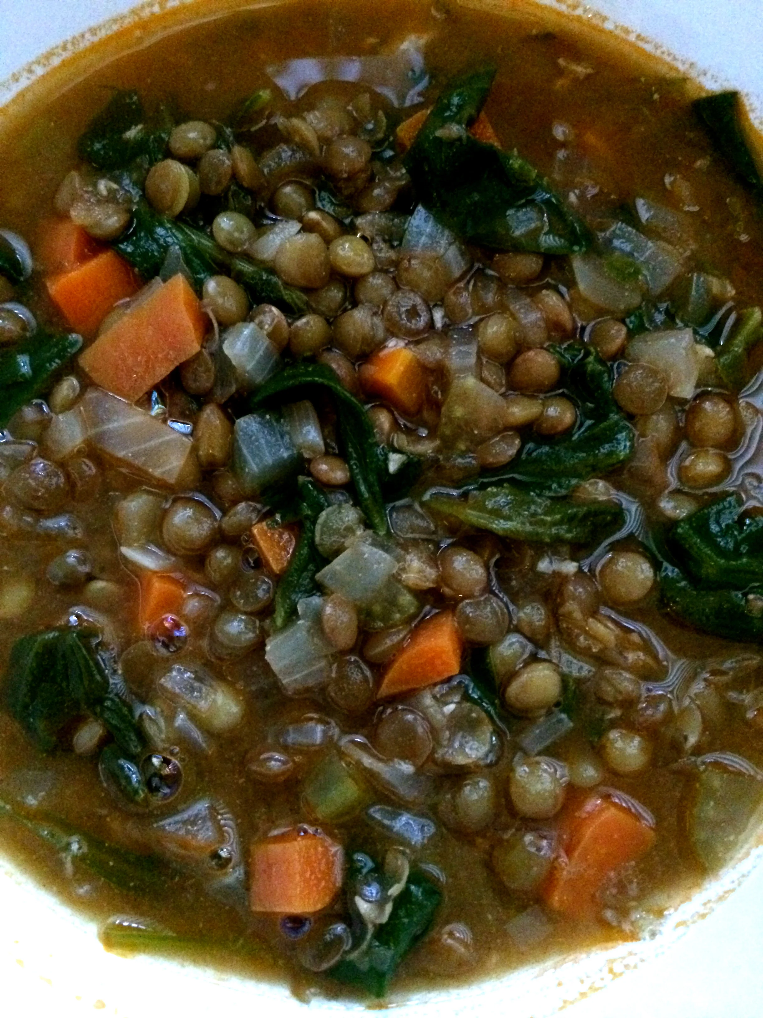 Hearty Lentil Soup