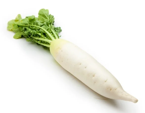 Daikon radish