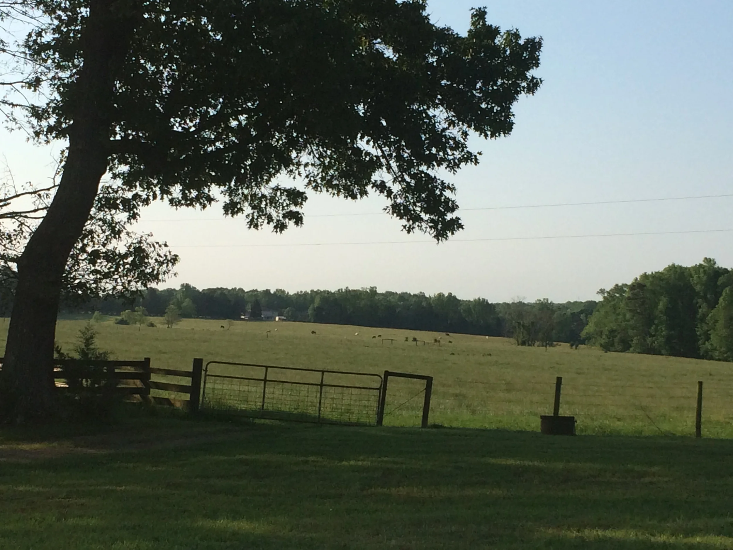 Clover, SC