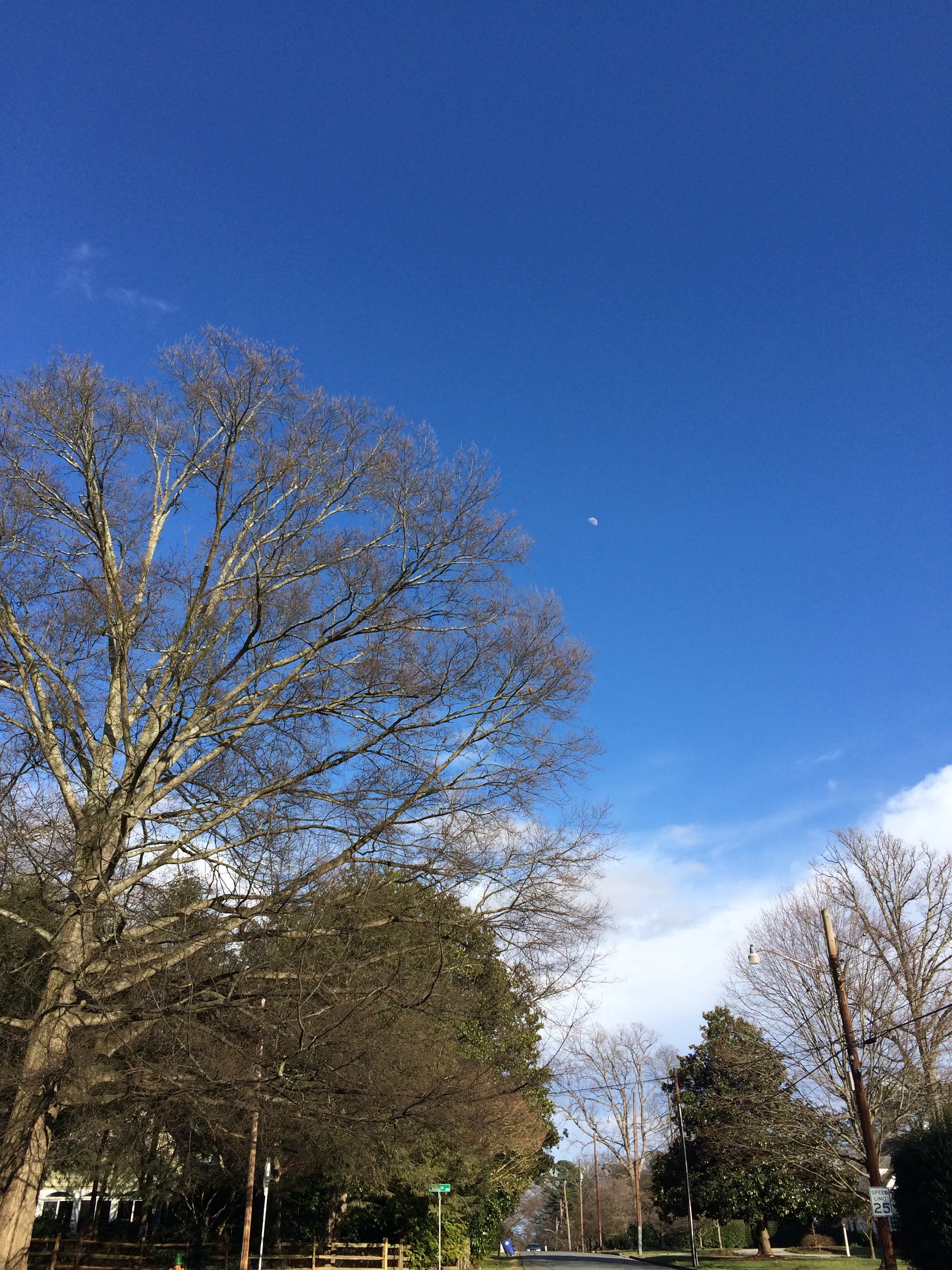 a beautiful day last week