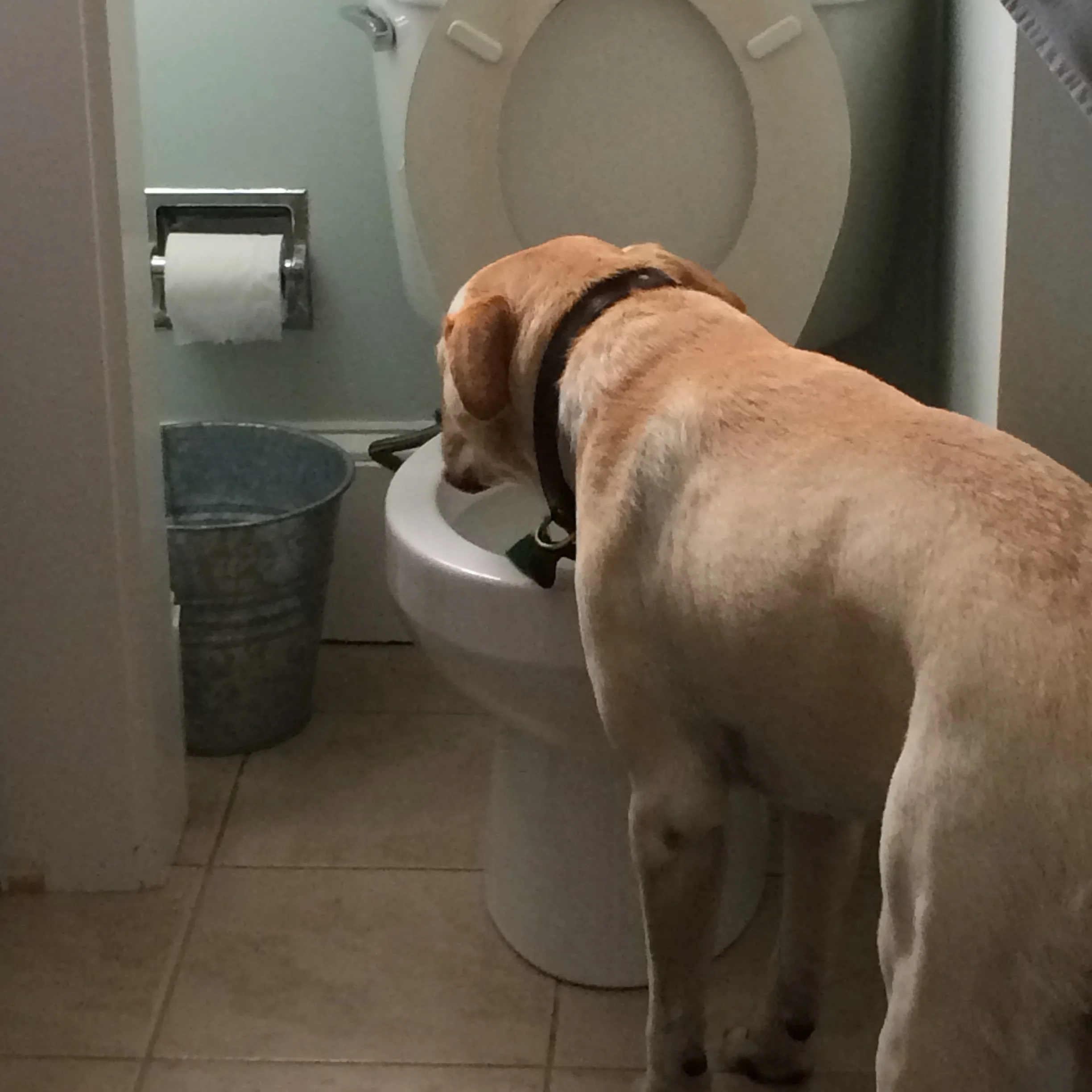 ?Fresh water? 