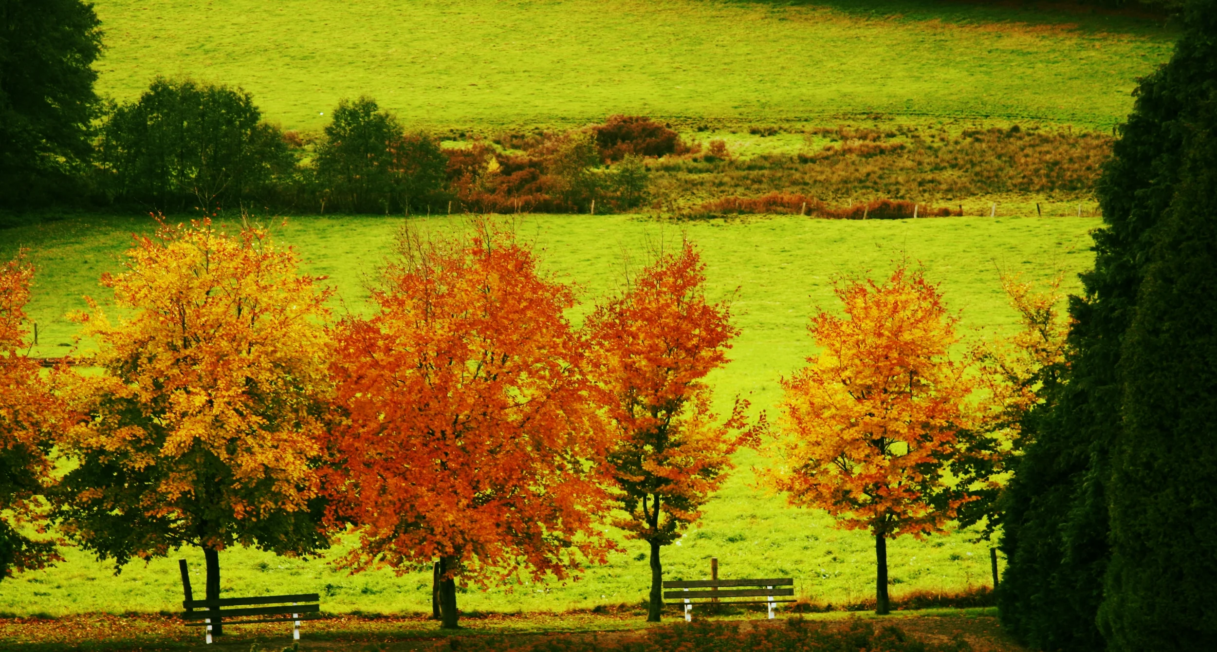 Belgium in the Fall