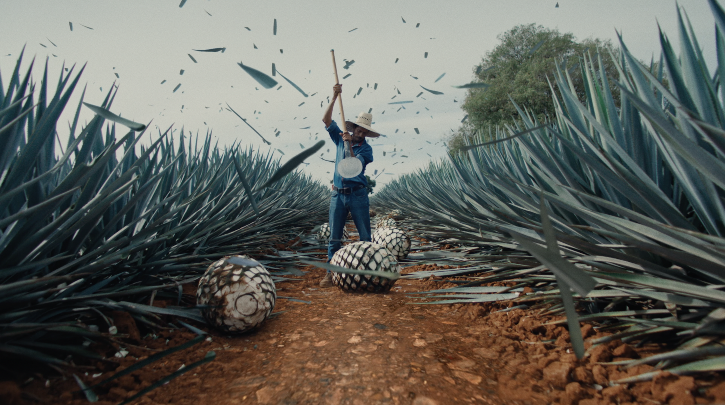 Screenshot 2026-01-27 at 10.47.11 PM.png