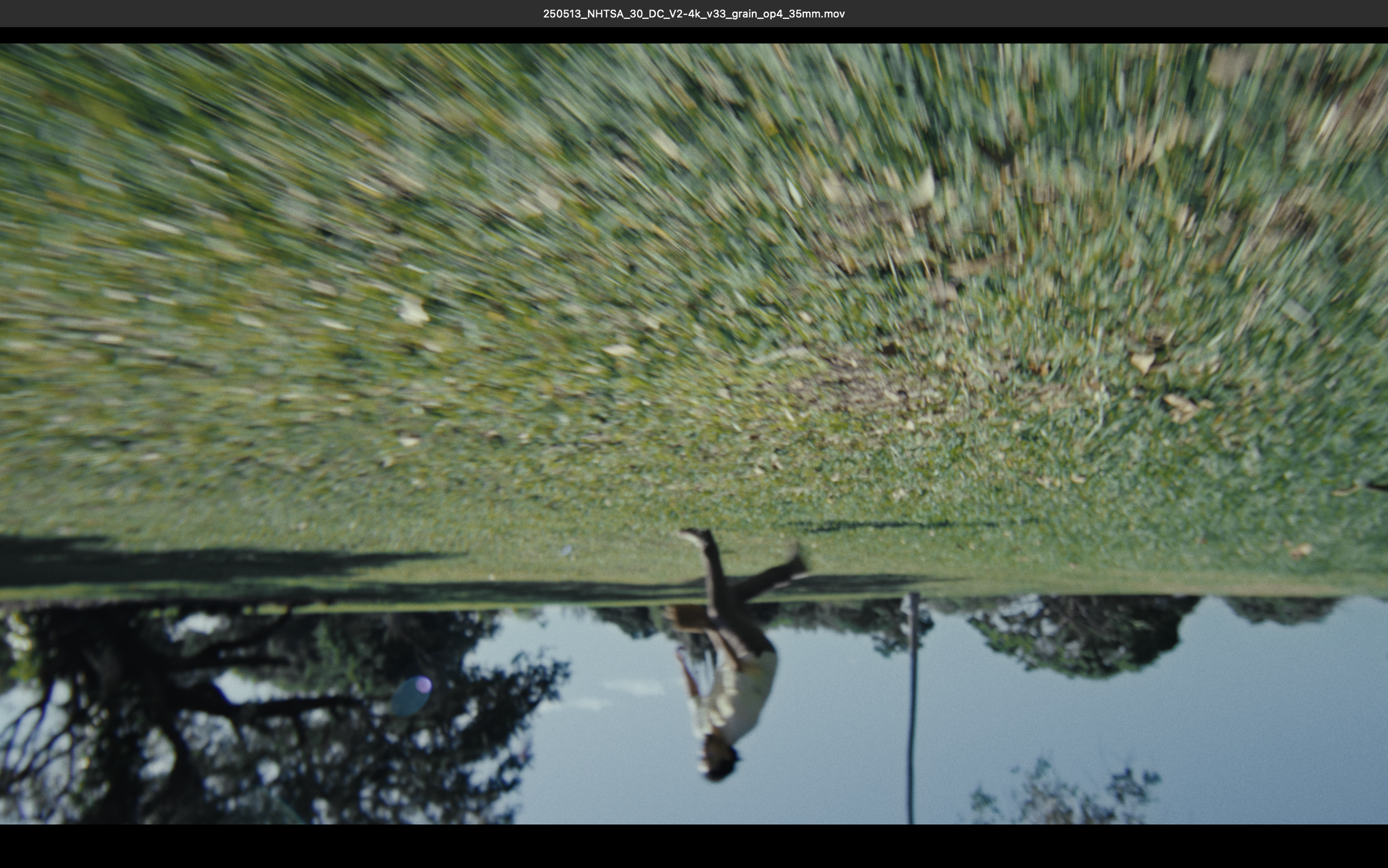 Screenshot 2025-07-06 at 11.54.42 AM.png