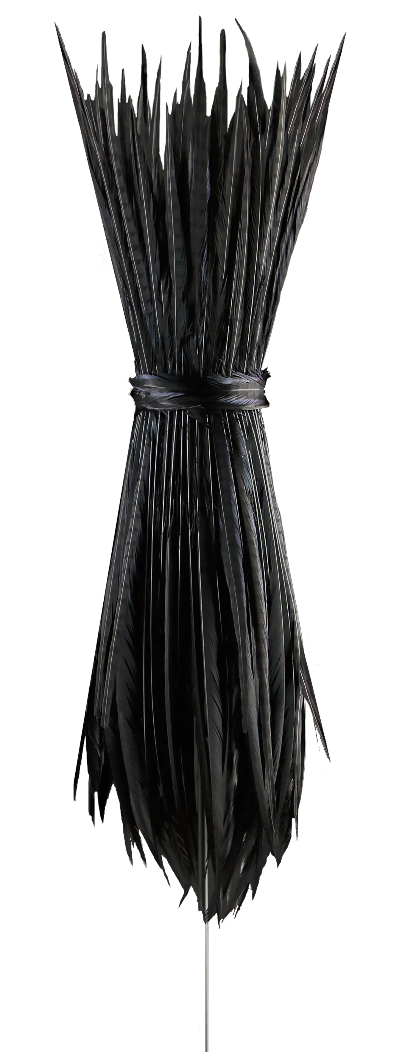 Light As A Feather_Black LS01.jpg